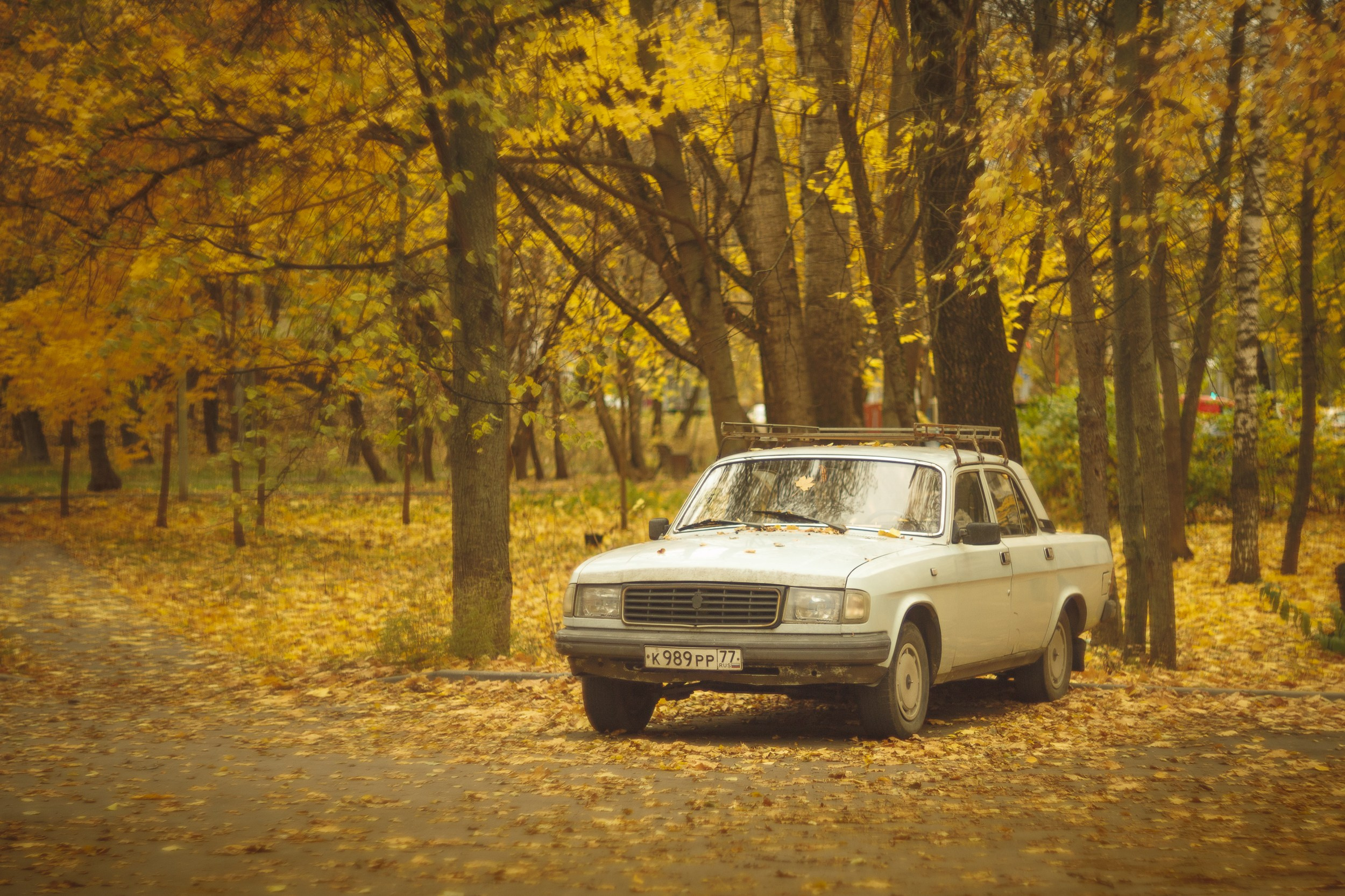 Серия «Цвет переосмыслений». Фотограф в Москве Татьяна Макотра