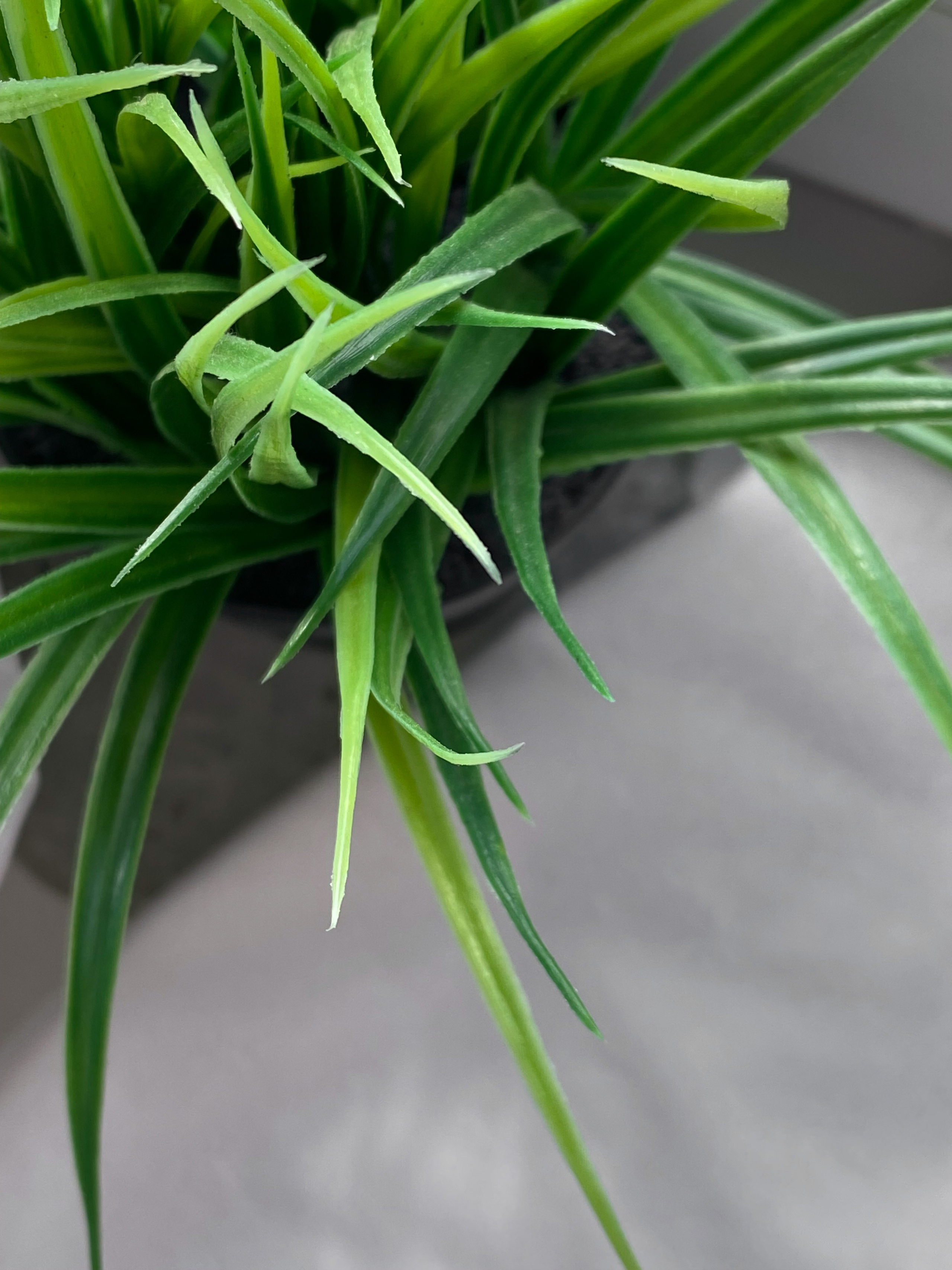 контент съемка, раскладка, ведение страницы инстаграм, написание постов, фотограф контент, ведение ленты инстаграм, продвижение Инстаграмм, фотосессия для соц сетей, коворкинг Минск, фотограф Минск, контент съемка Минск, визуал, визуал социальных сетей, Content shooting, layout, maintaining an Instagram page, writing posts, content photographer, maintaining an Instagram feed, Instagram promotion, photo shoot for social networks, coworking Minsk, photographer Minsk, content shooting Minsk, visual, visual of social networks