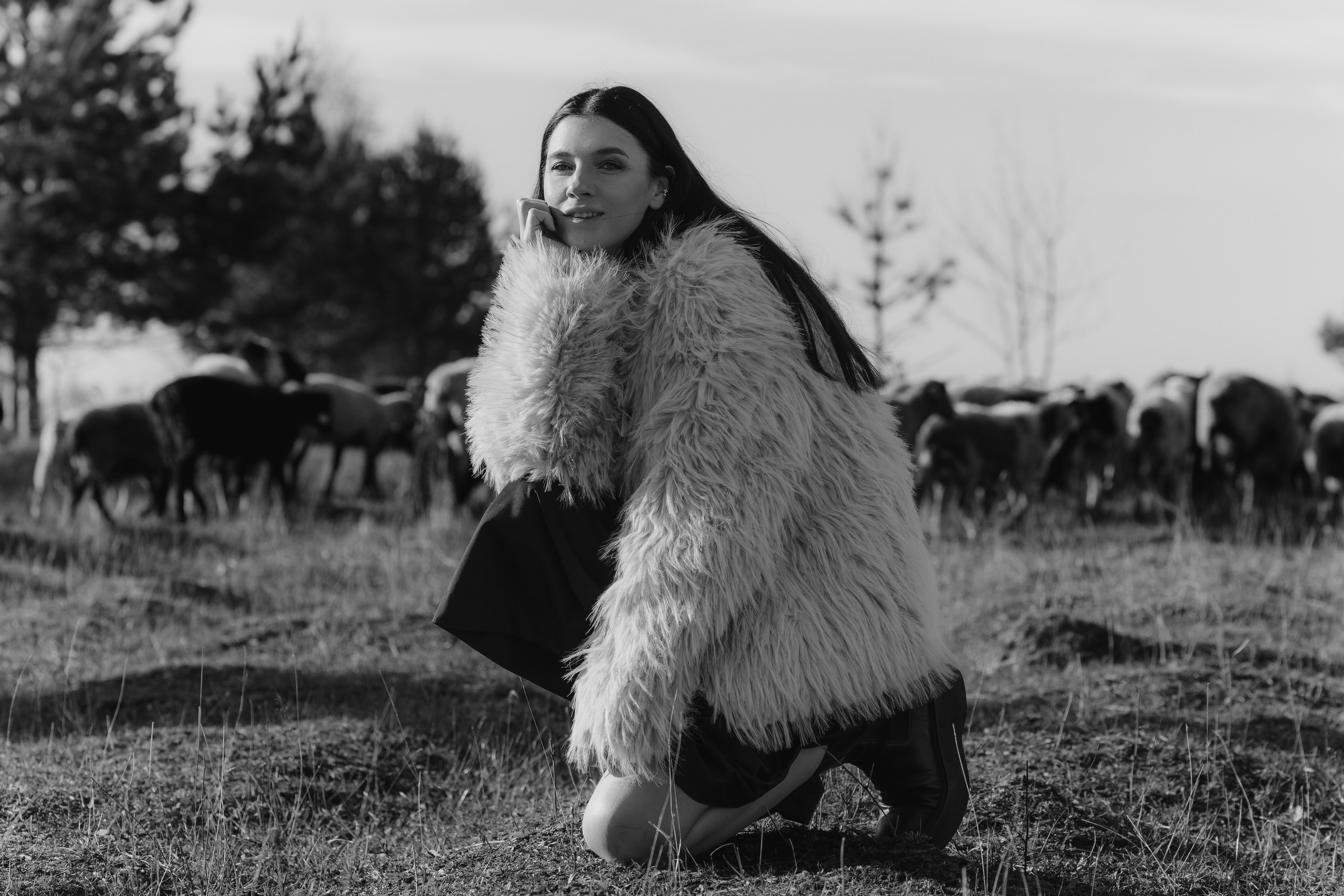 Охота на овец