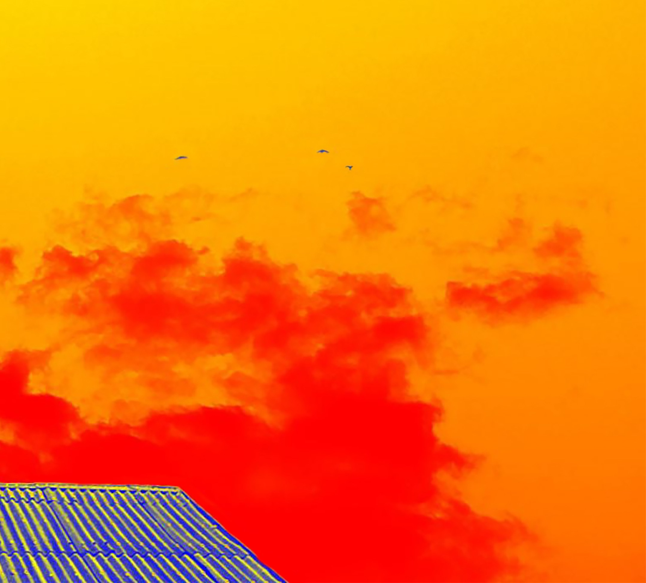 Тепловой след / Heat trace. Visual artist Olga Burmistrova