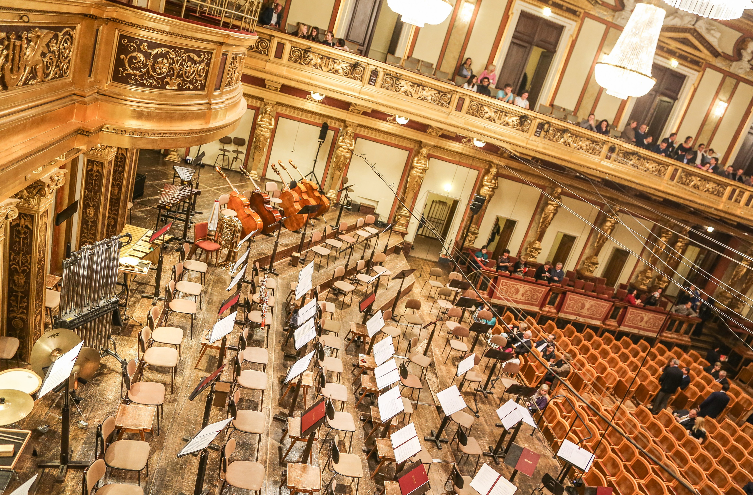 Австрия: Музыкальная Вена. Дарья Письменюк / Darya Leitstern — фотограф, музыкант, журналист, путешественник