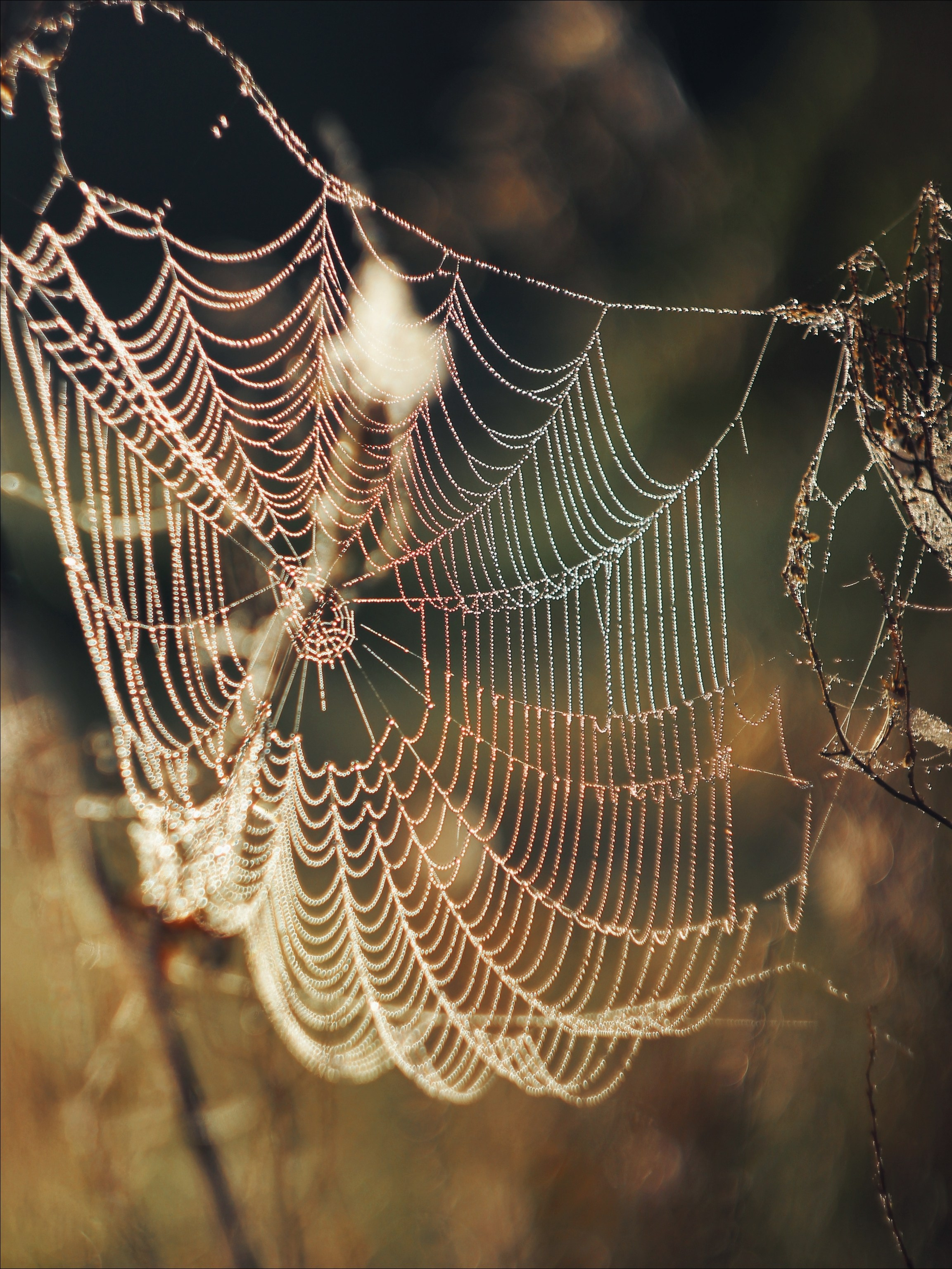 Опустошенность. С любовью, фотохудожник