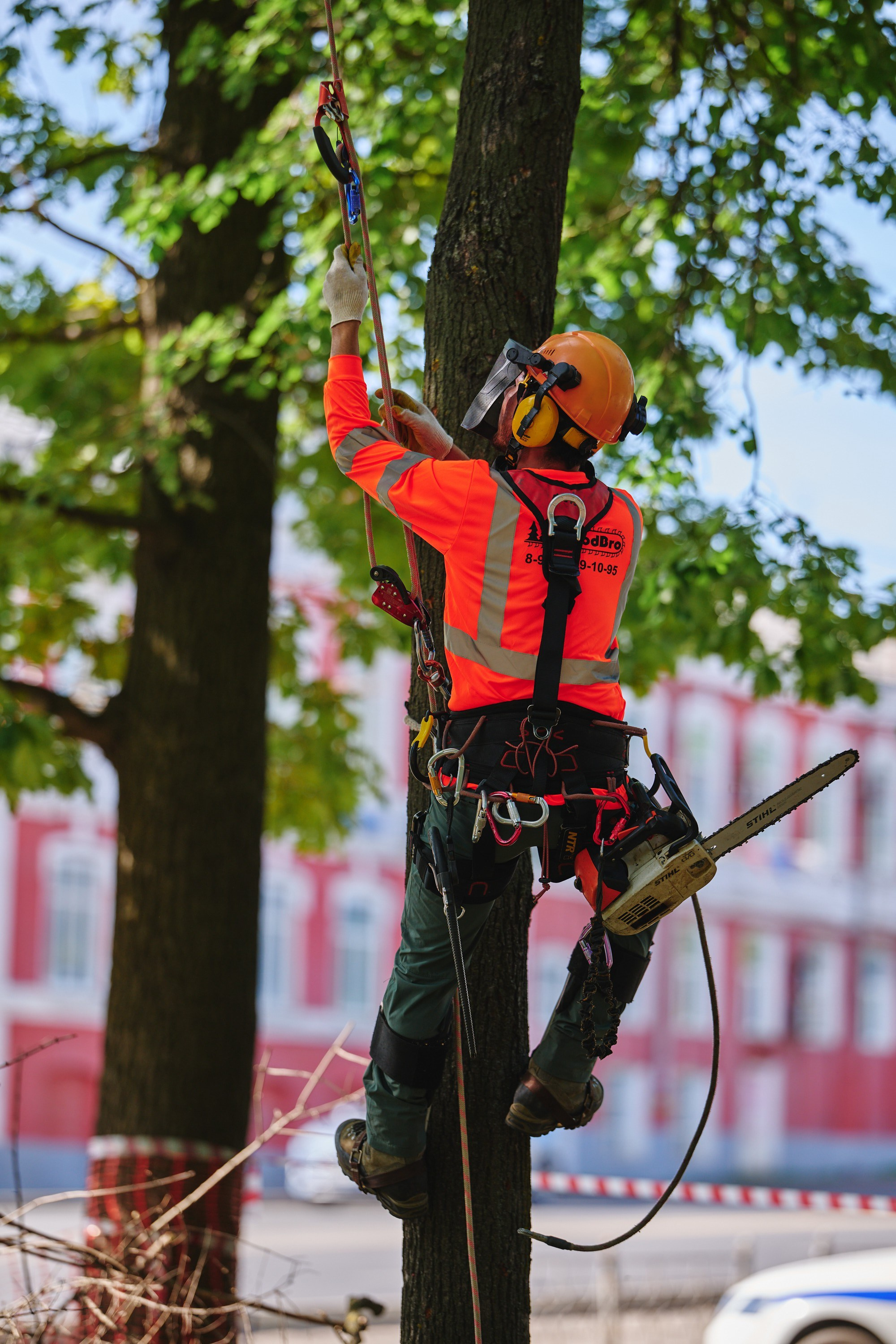 Ива фест 2025. Фотограф в Иваново: Каталожная съемка одежды и постельного белья, Wildberries