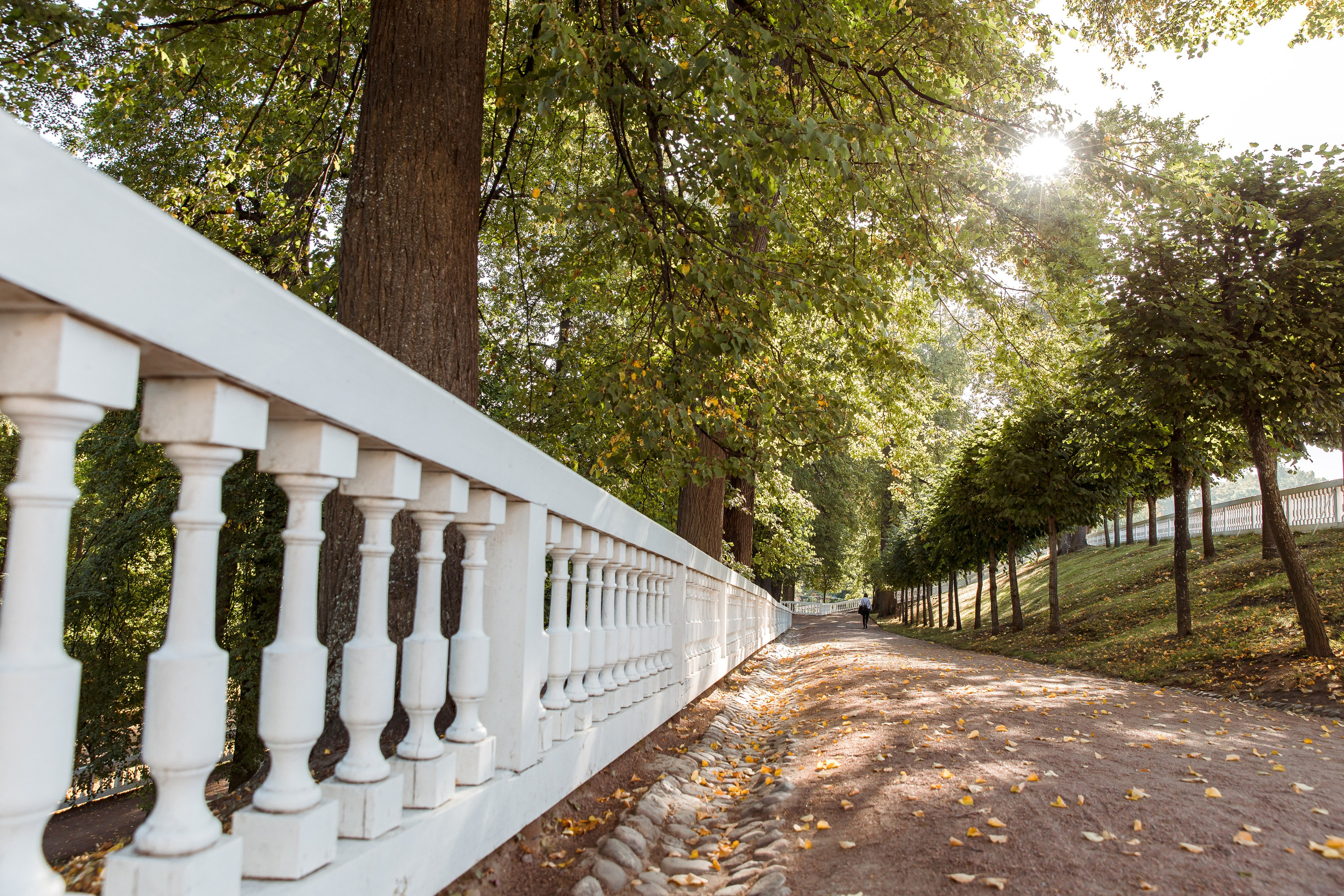 Санкт-Петербург, Питергоф осень 2023. Семейный и детский фотограф в Железногорске Саламахо Ольга