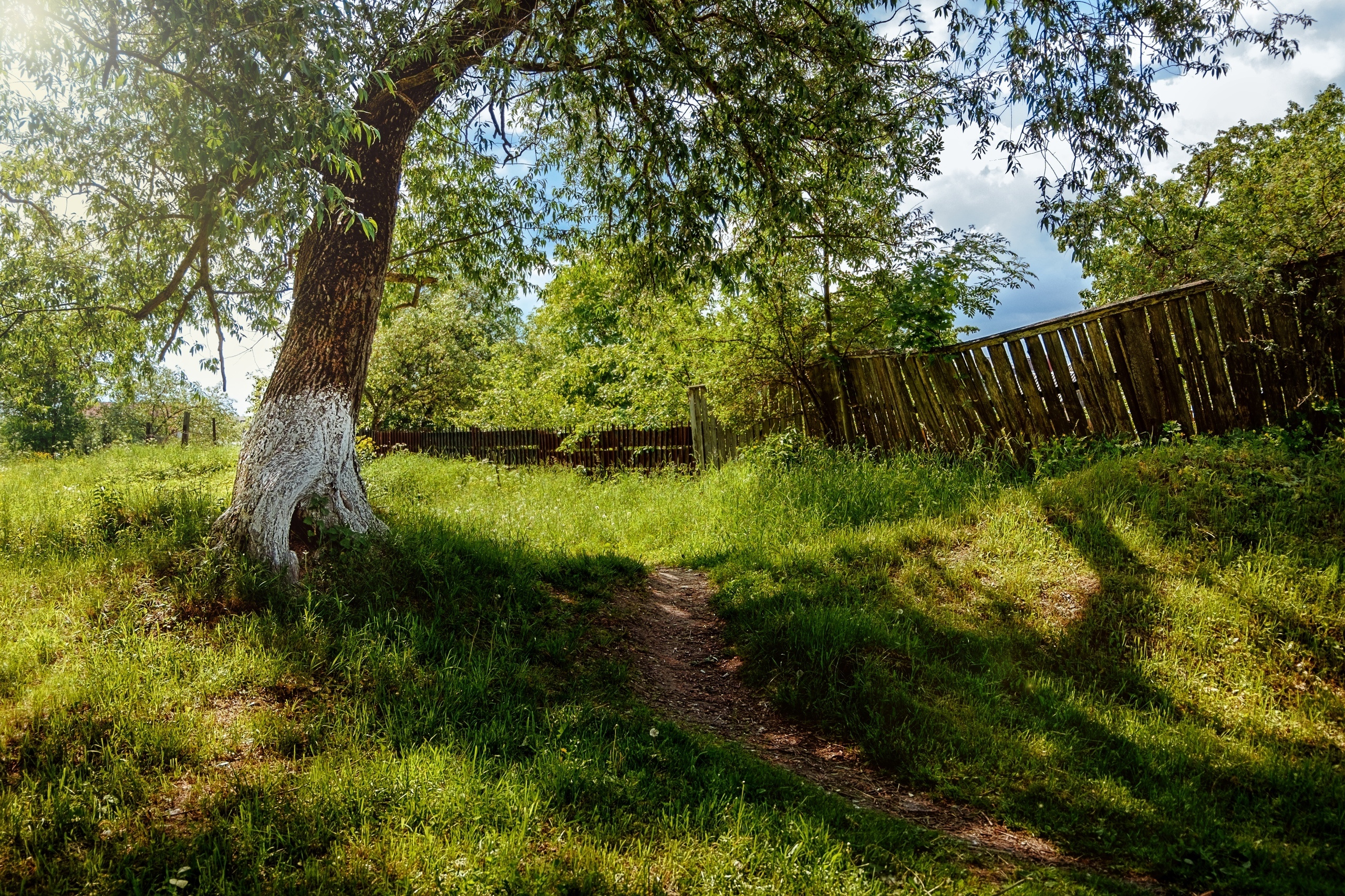 Итоги 2019: лучшие фотографии выпускников фотошколы "Перспектива" за 2. Фотоцентр Перспектива: выпускные альбомы, фотошкола, курсы фотографии