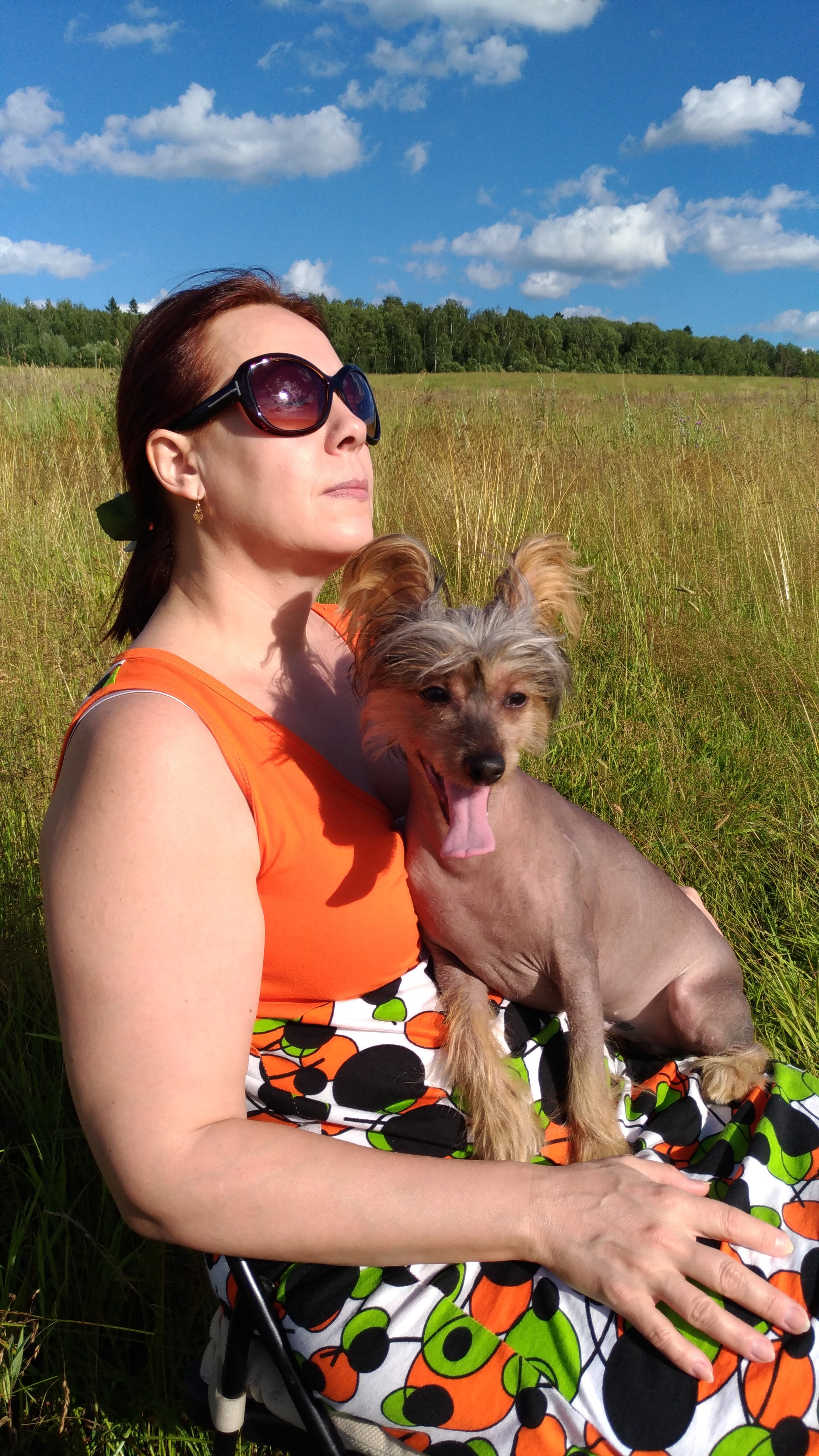 В поле под присмотром сокола. Питомник китайских хохлатых собак Poale Ell: купить щенка в питомнике