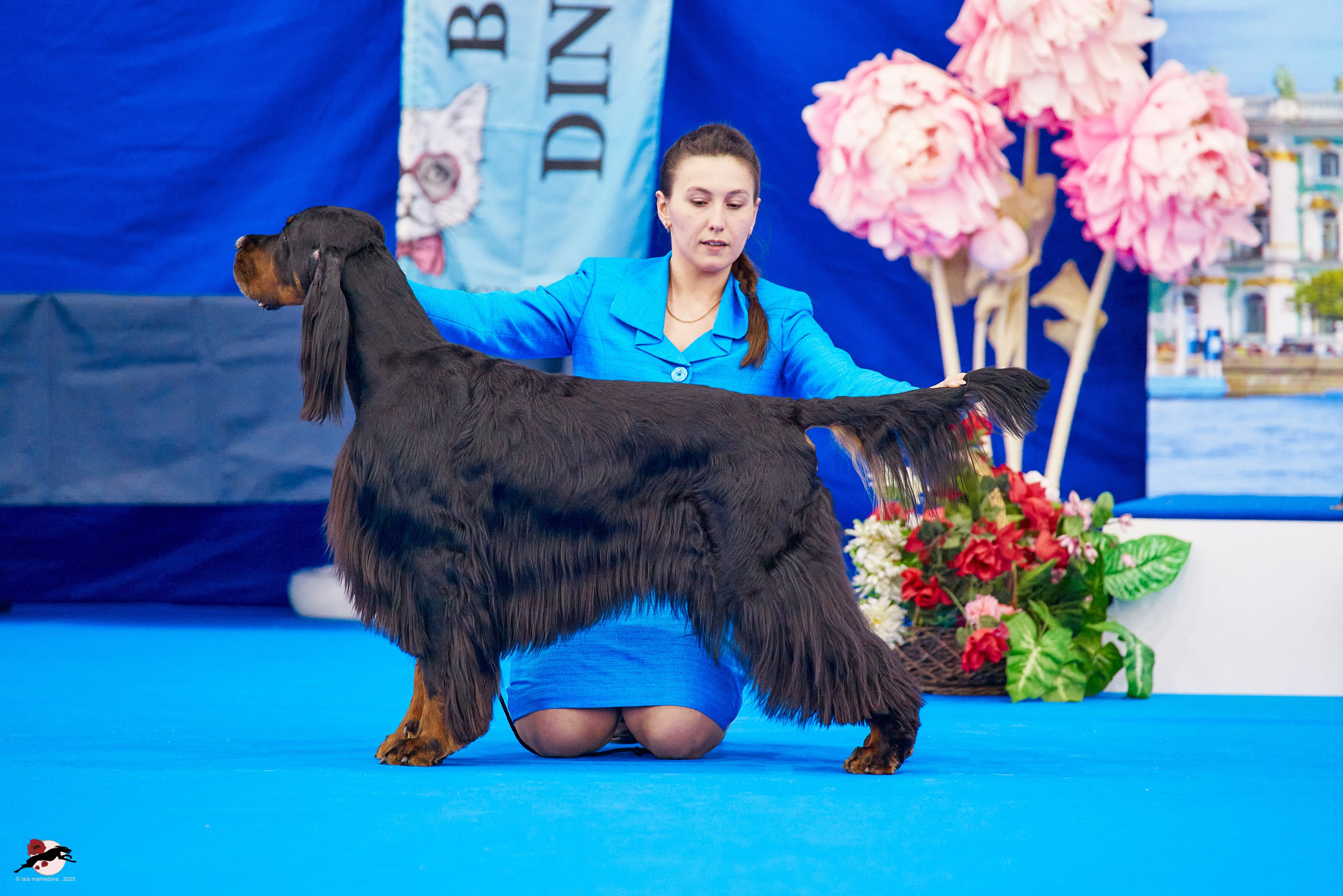ГРАН ПРИ «ВЕСЕННИЙ ПЕТЕРБУРГ» & «СУПЕР КУБОК «ЭЛИТЫ»-2025»