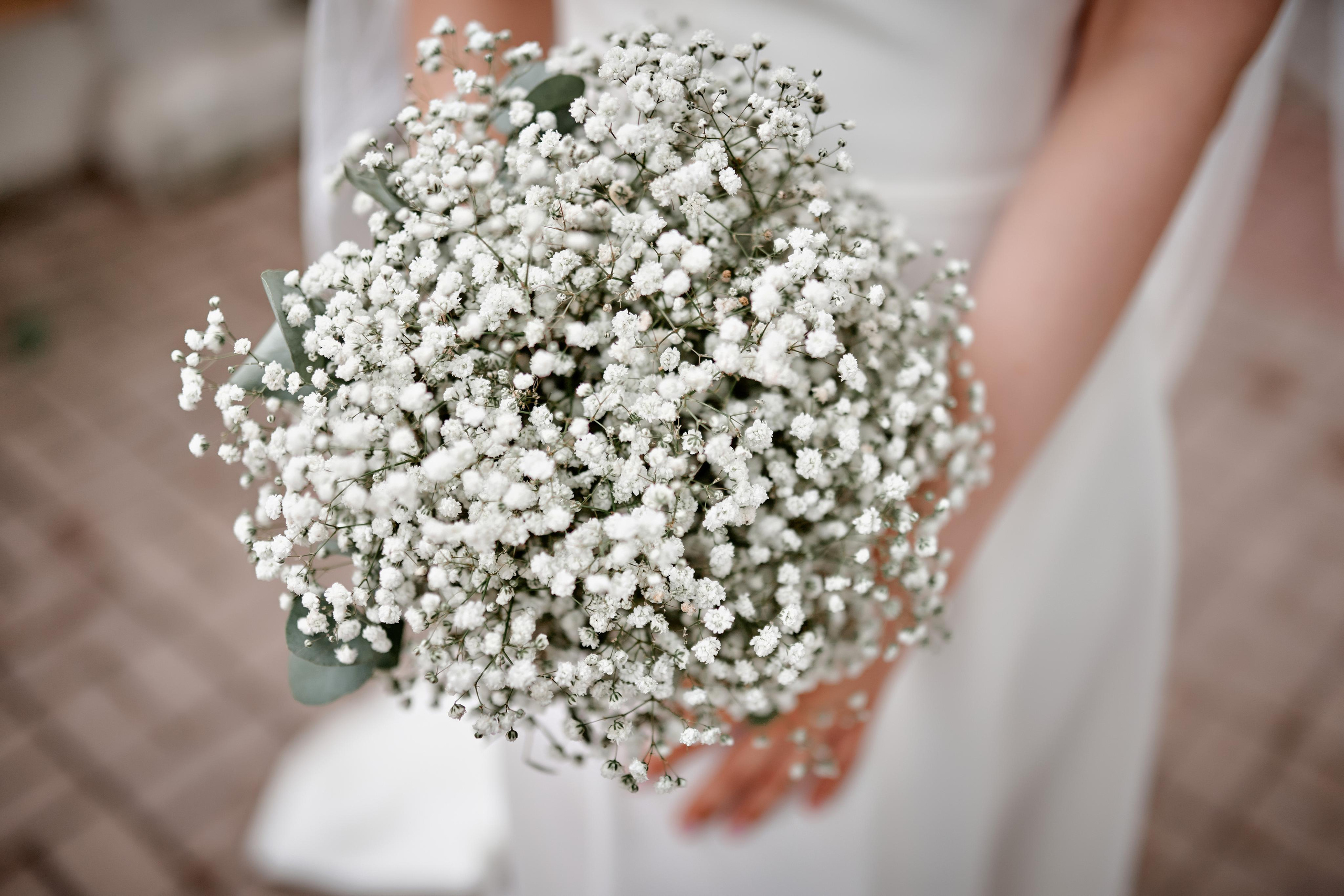 Наша любовь как ветер — ты ее не видишь, но чувствуешь…. Фотограф Меняйло Евгений. Свадьба. Портрет. Репортаж. Семья. Контент