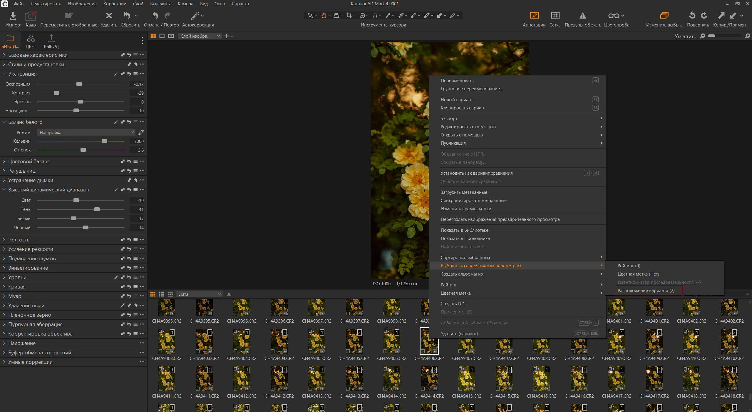 Косплей фотосессия в образе Вэй Ина в Находке