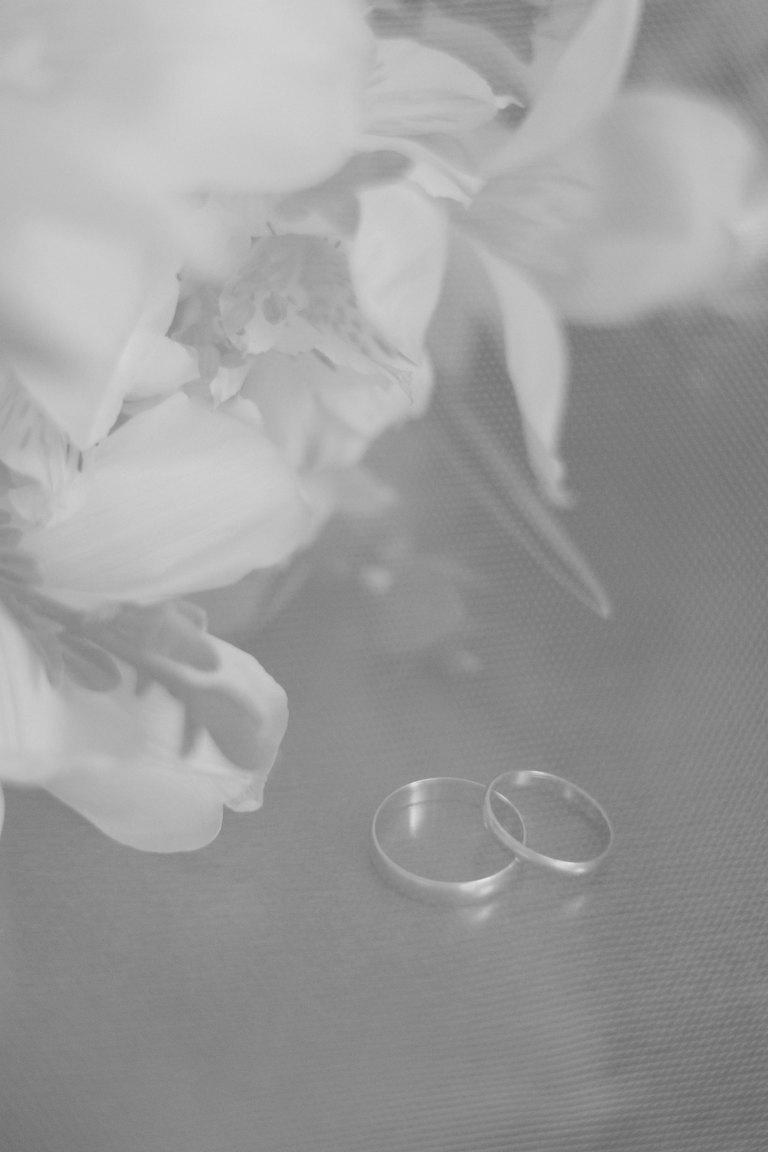 Свадебная фотосессия. Свадебный и творческий фотограф в Санкт-Петербурге Екатерина|К