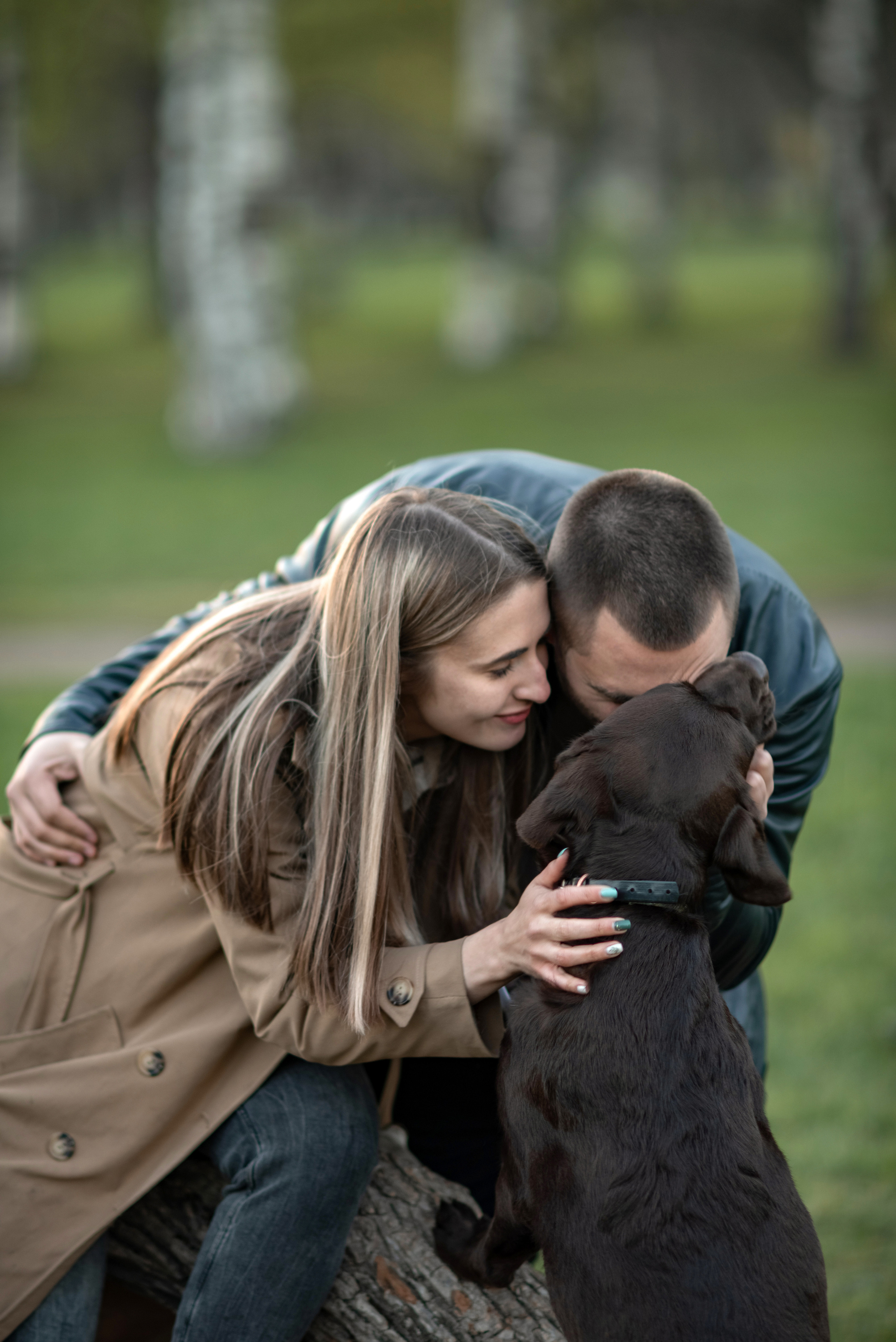 Фотосессия с собакой. Фотограф Юлия Кондратьева