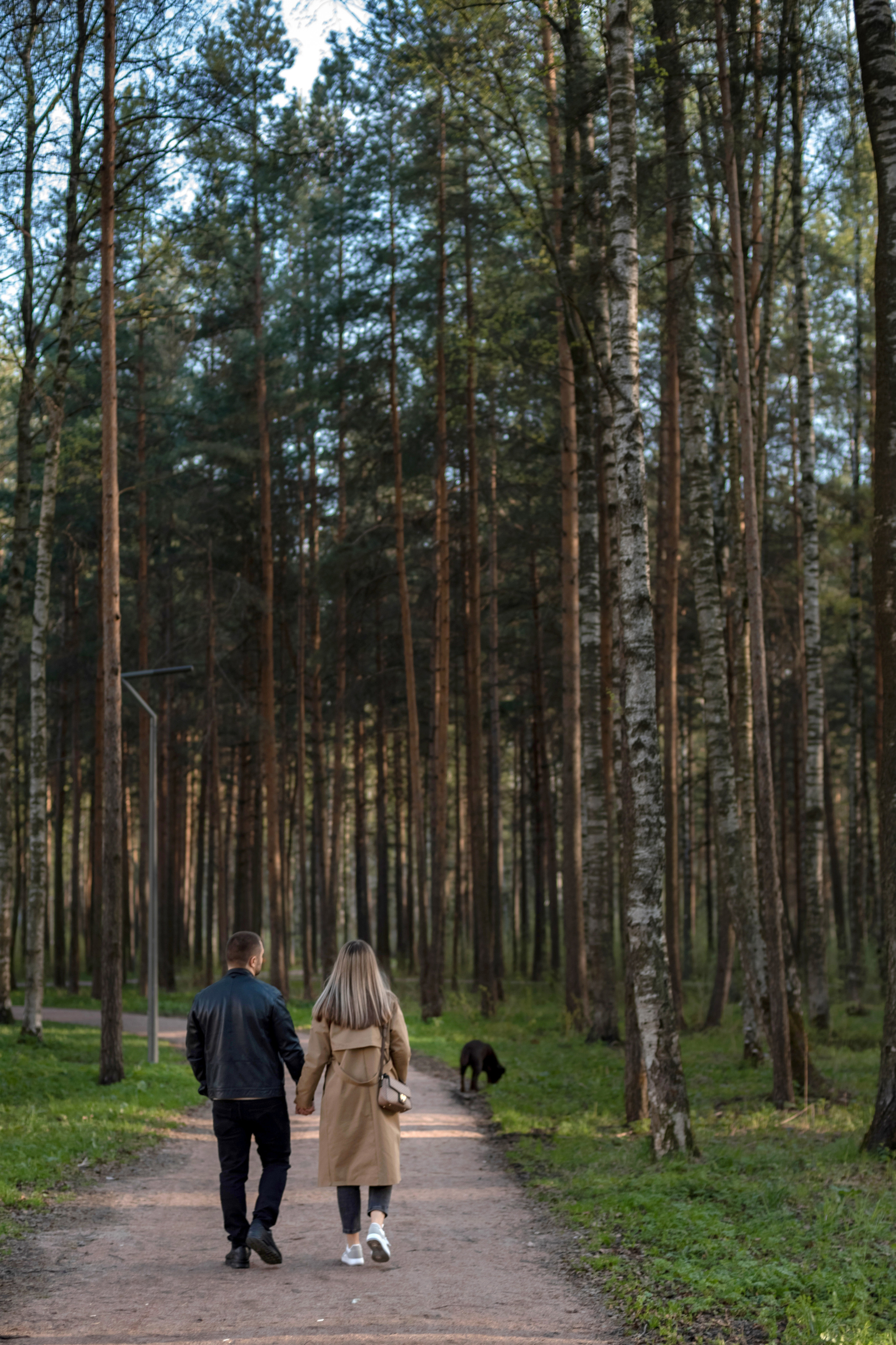 Фотосессия с собакой. Фотограф Юлия Кондратьева