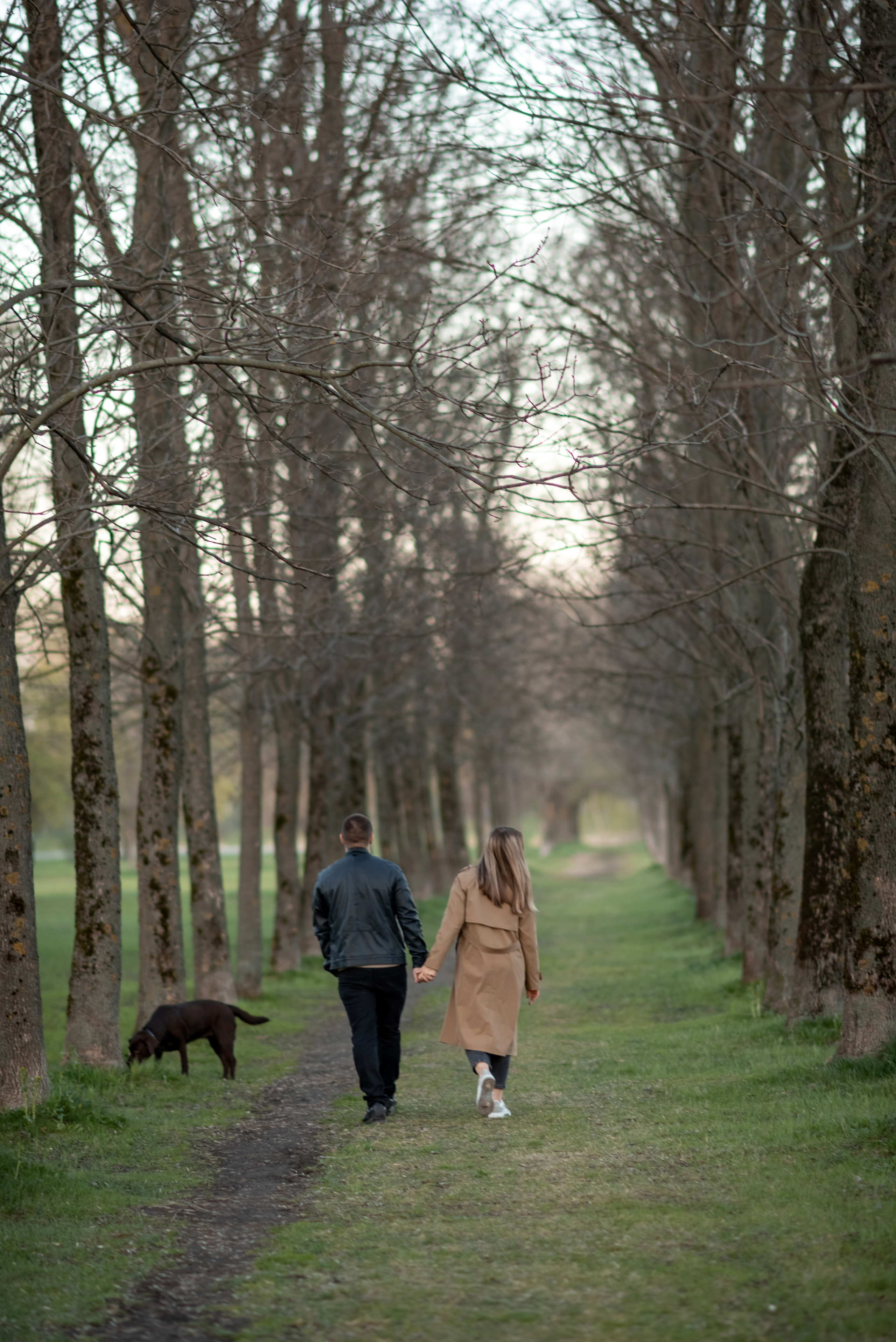 Фотосессия с собакой. Фотограф Юлия Кондратьева
