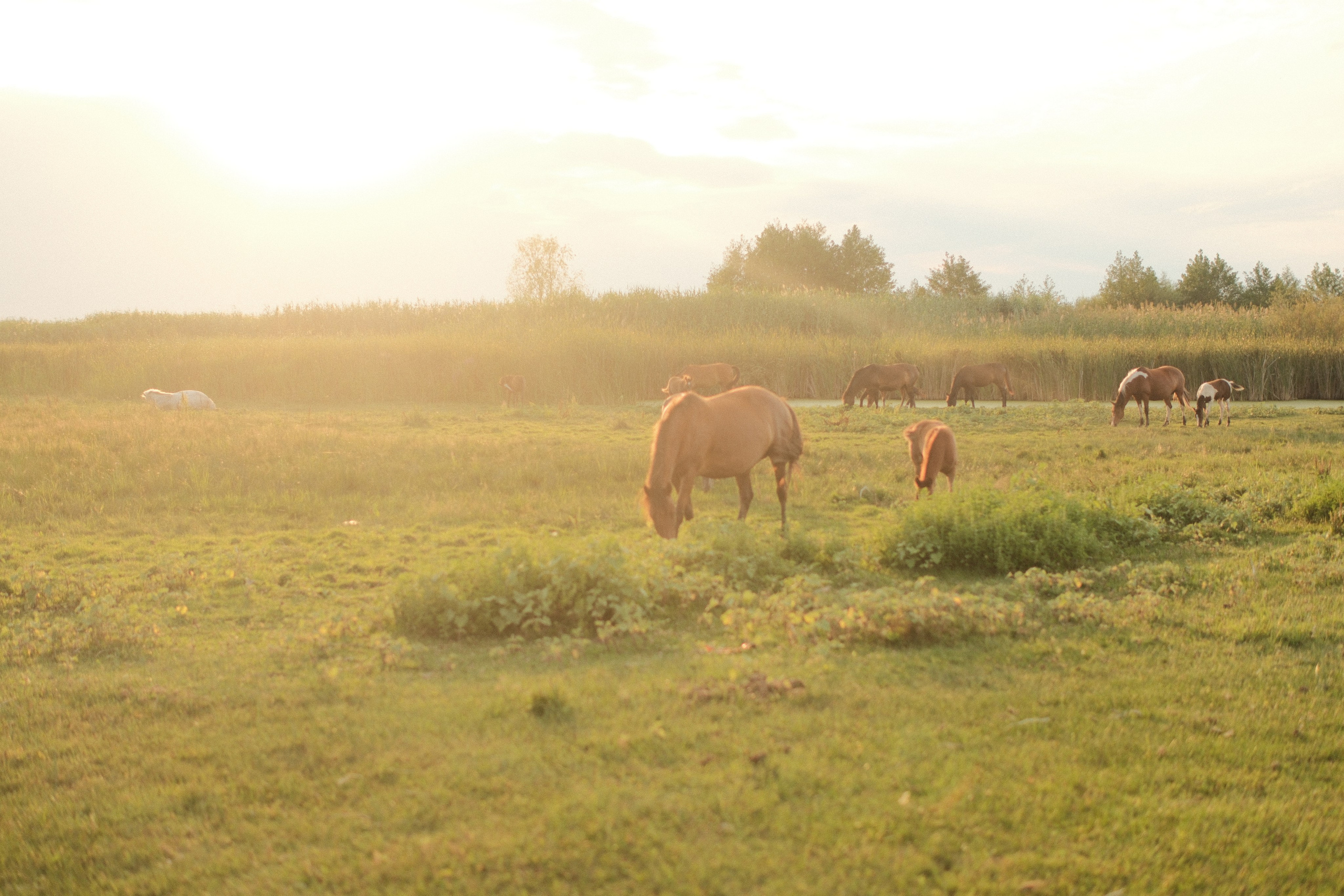 Внезапная фотосессия. Фотограф/Видеограф из Саратова