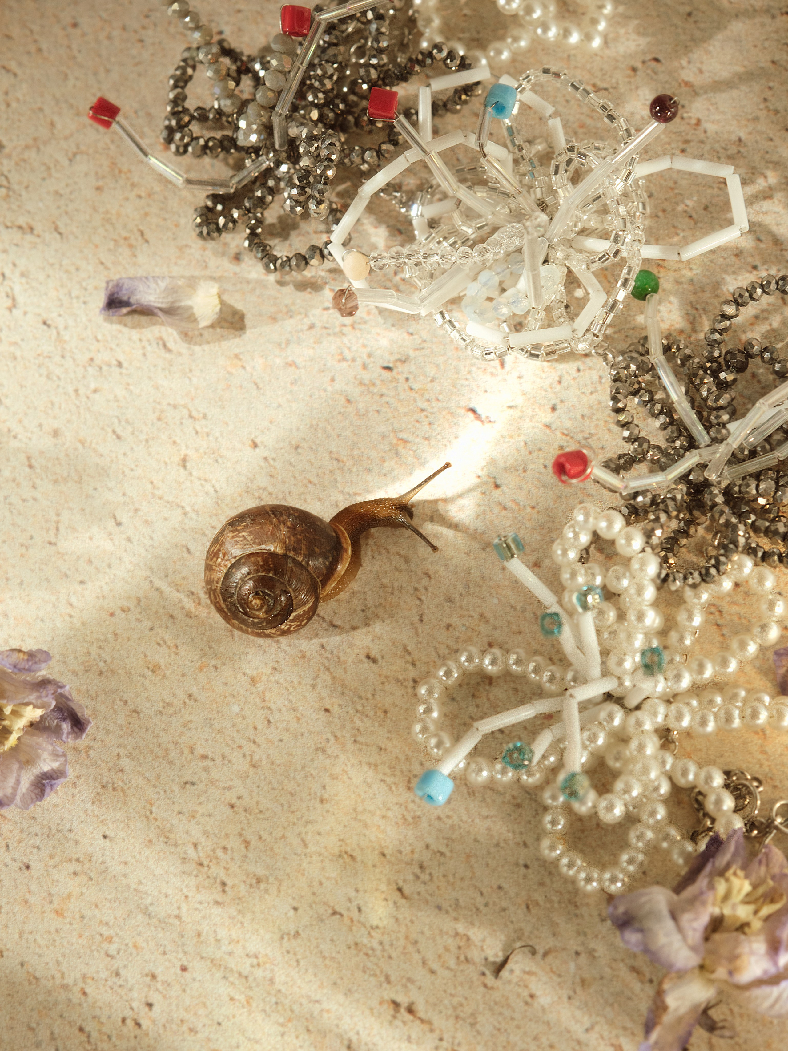 Предметный фотограф | Санкт-Петербург | Кристи Хареба