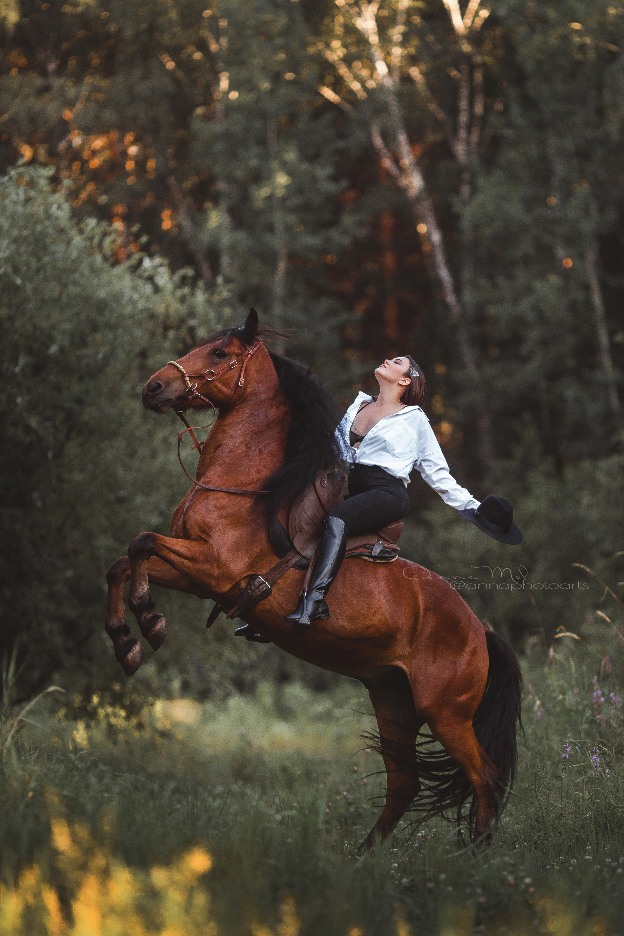 Тематика конных съемок. Анна Молчанова конный фотограф в Тюмени | фотосессии с лошадьми Тюмень