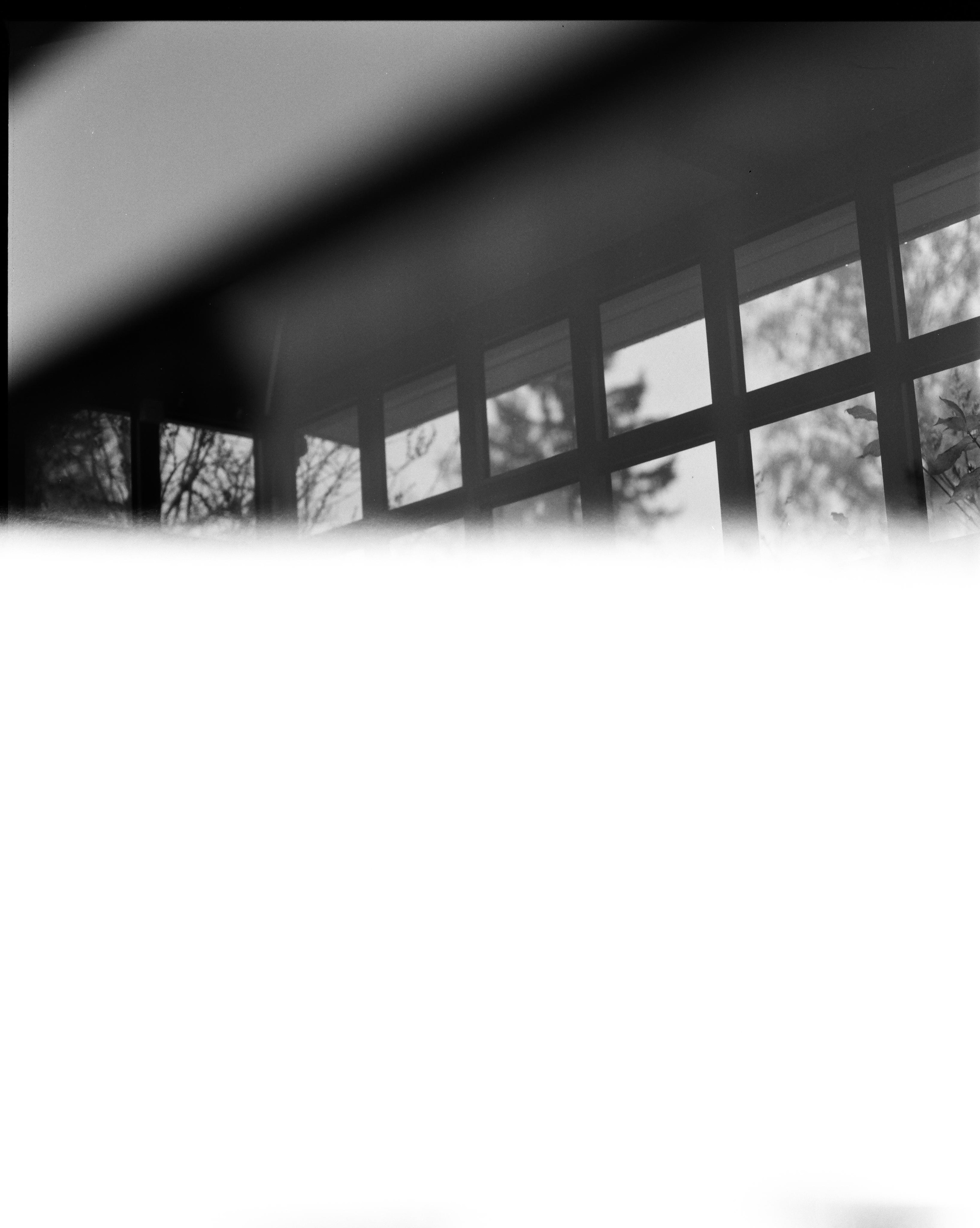 Карточка на память. Asya Bobritskaya is a multidisciplinary artist