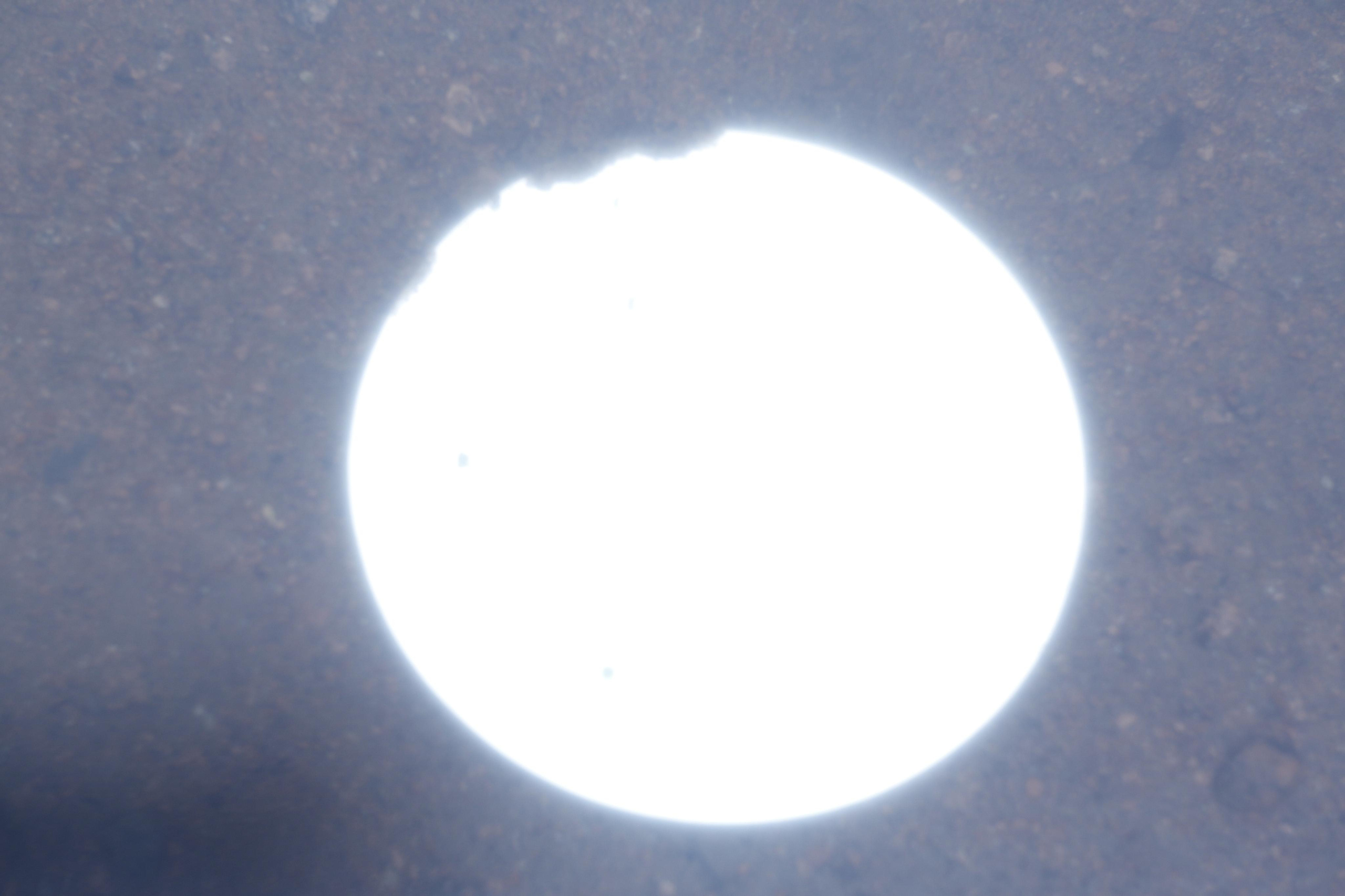 Карточка на память. Asya Bobritskaya is a multidisciplinary artist