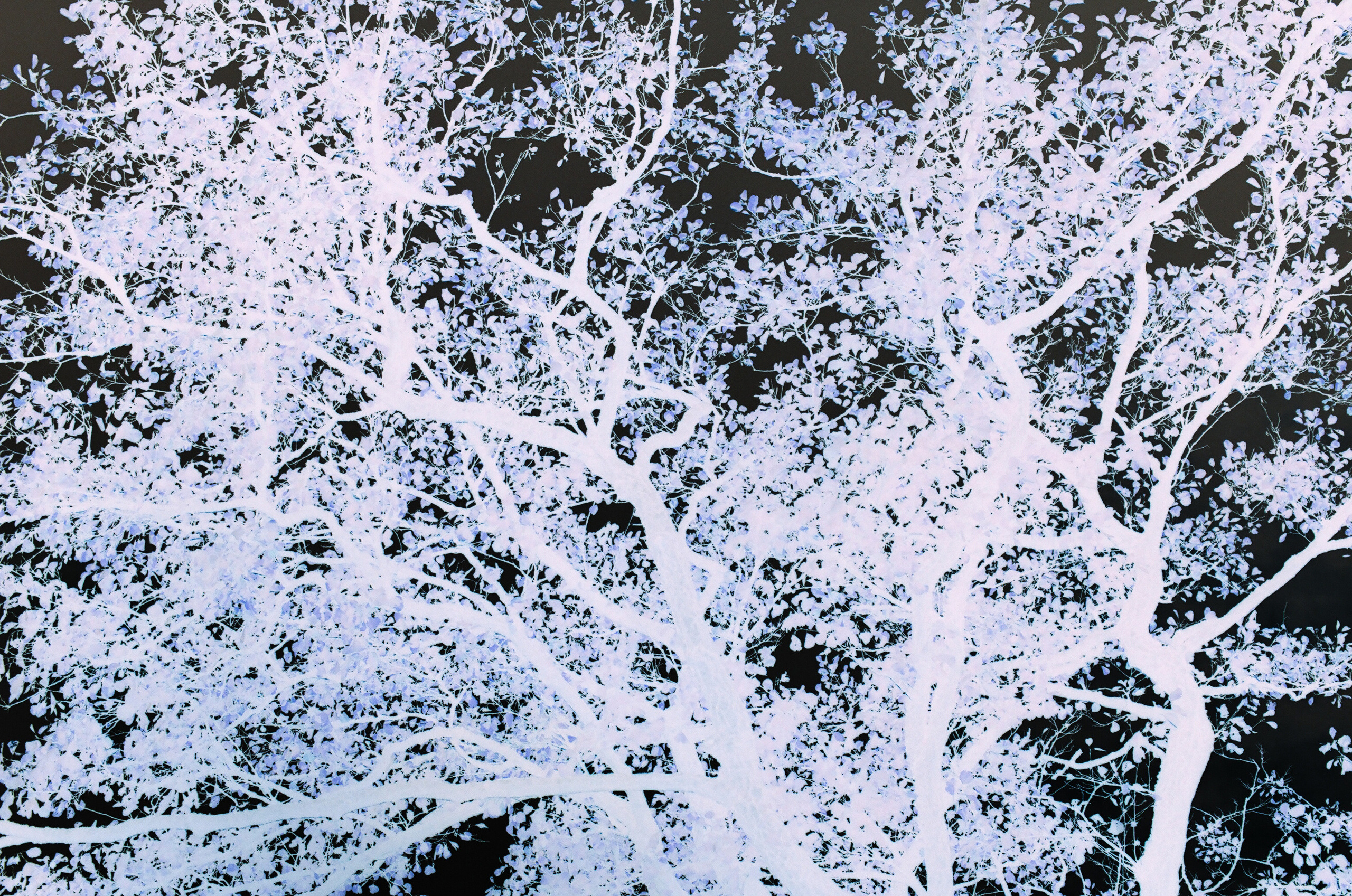 Карточка на память. Asya Bobritskaya is a multidisciplinary artist