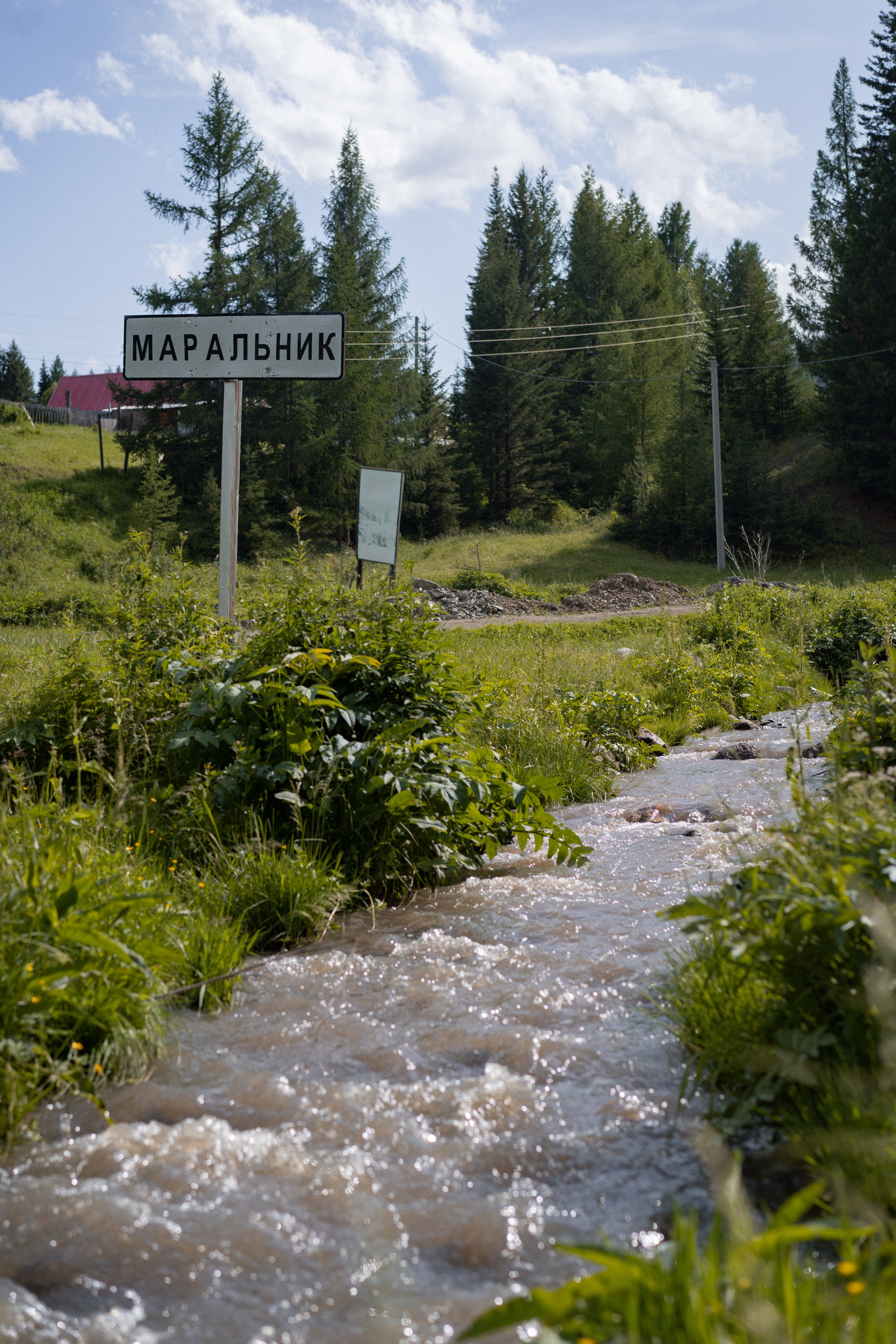 Алтай 2025. Лиза Фирстова