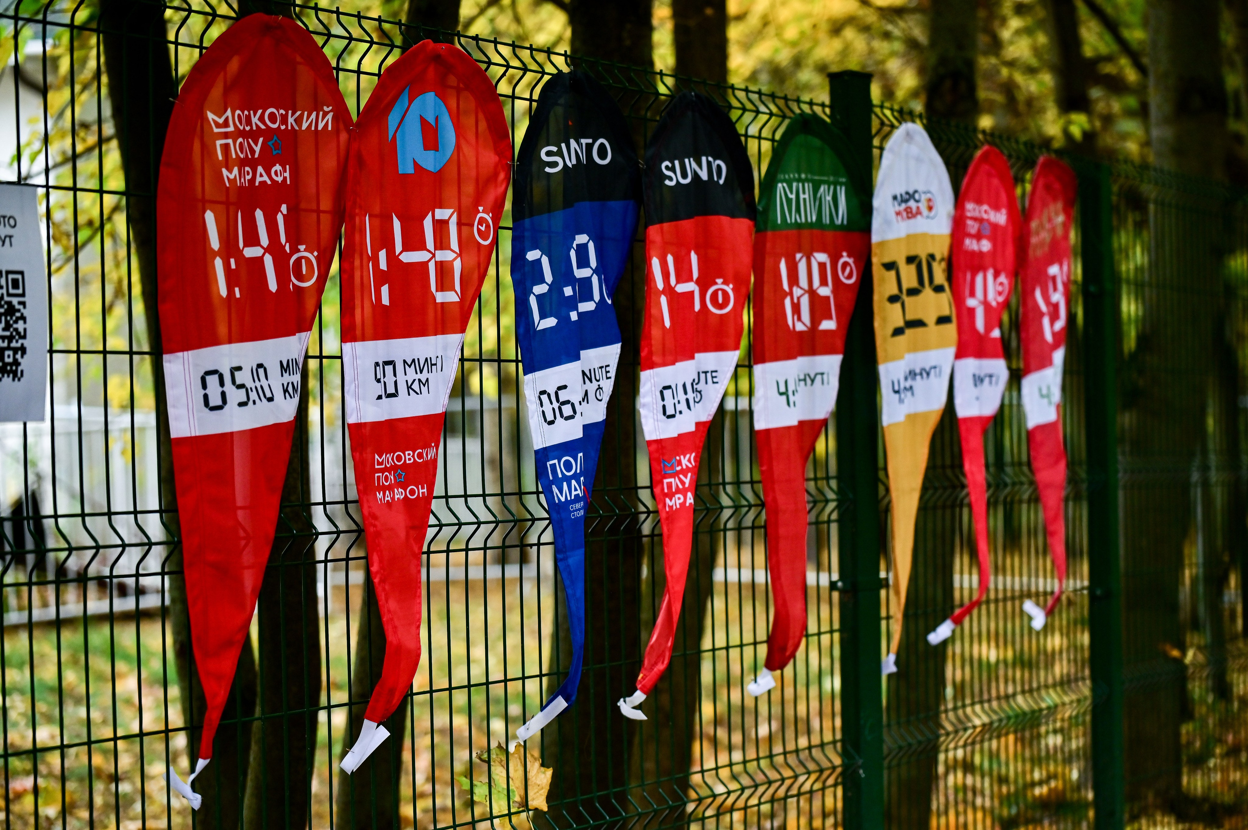 S95 Кузьминки Предмарафонский (12.10.24). Фотограф | Ирина Гамзинова | Москва