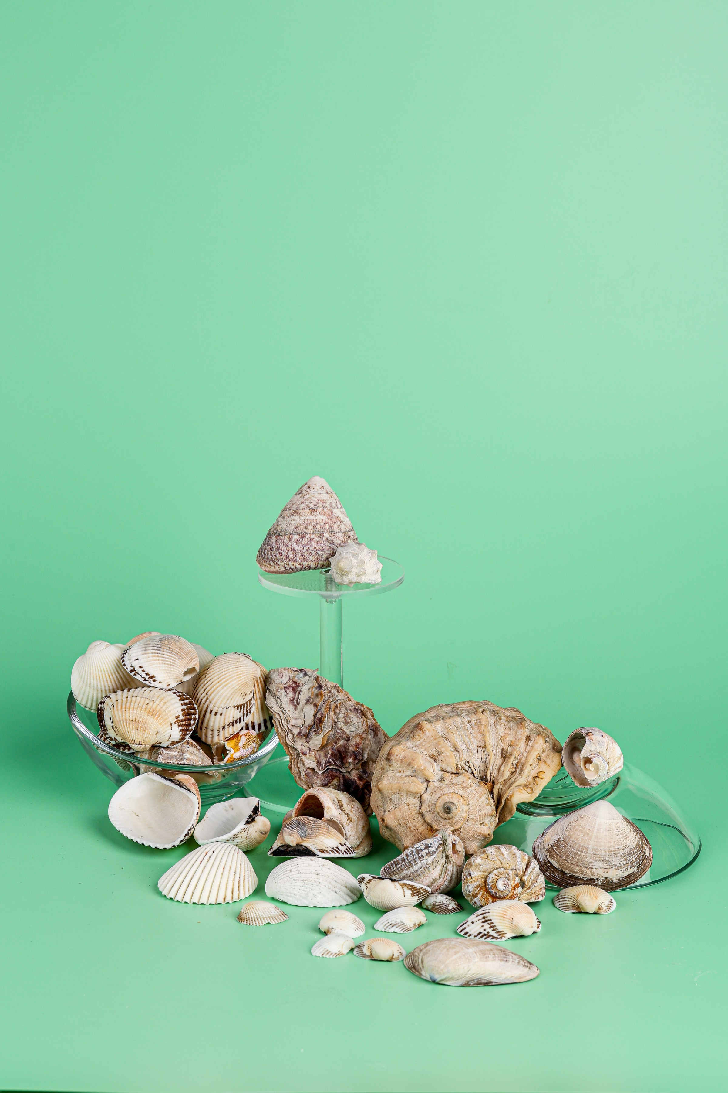 Реквизит и Оборудование