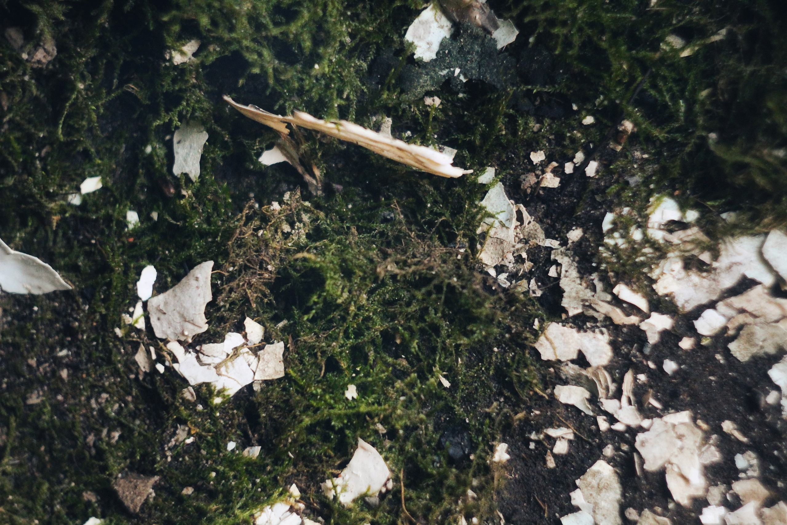 Исчезающие. Фотограф в Самаре Варвара Макарова