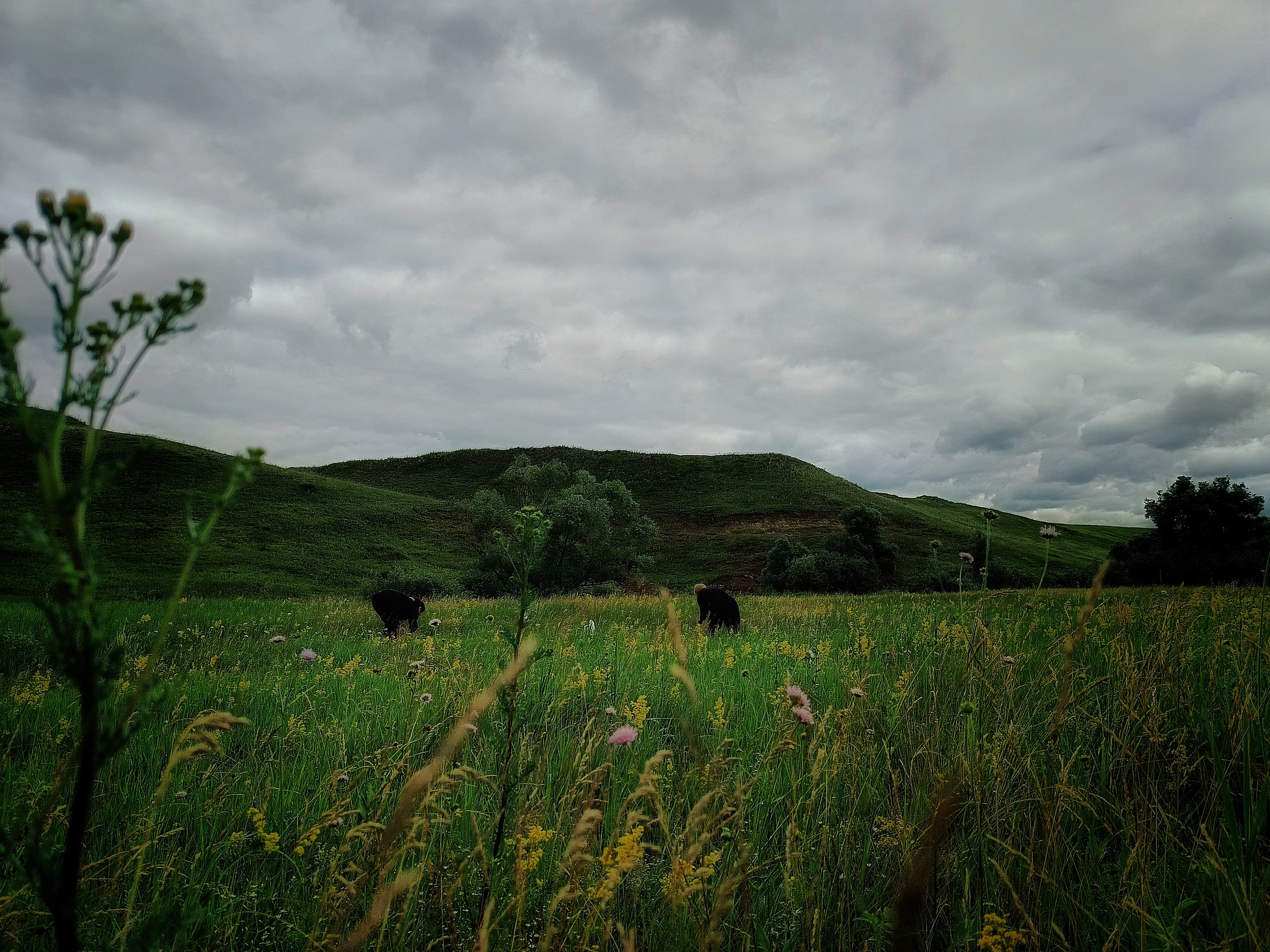 Исчезающие. Фотограф в Самаре Варвара Макарова