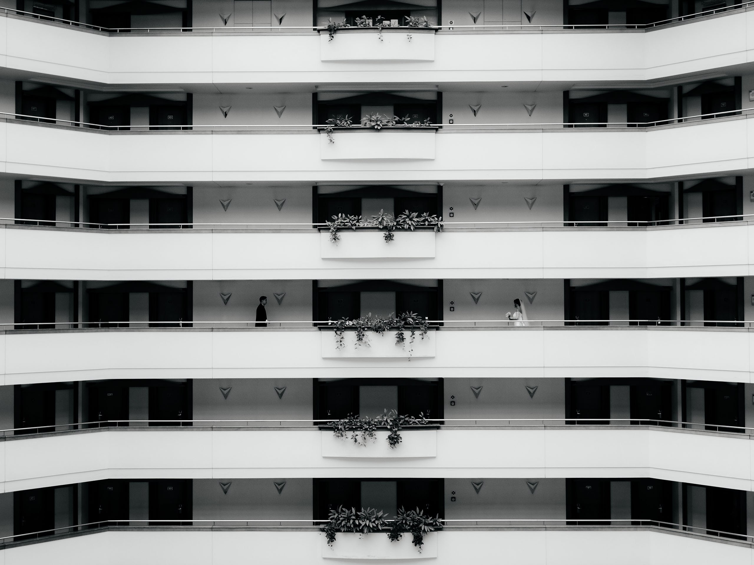 Свадебный фотограф Махаббатов Алишер