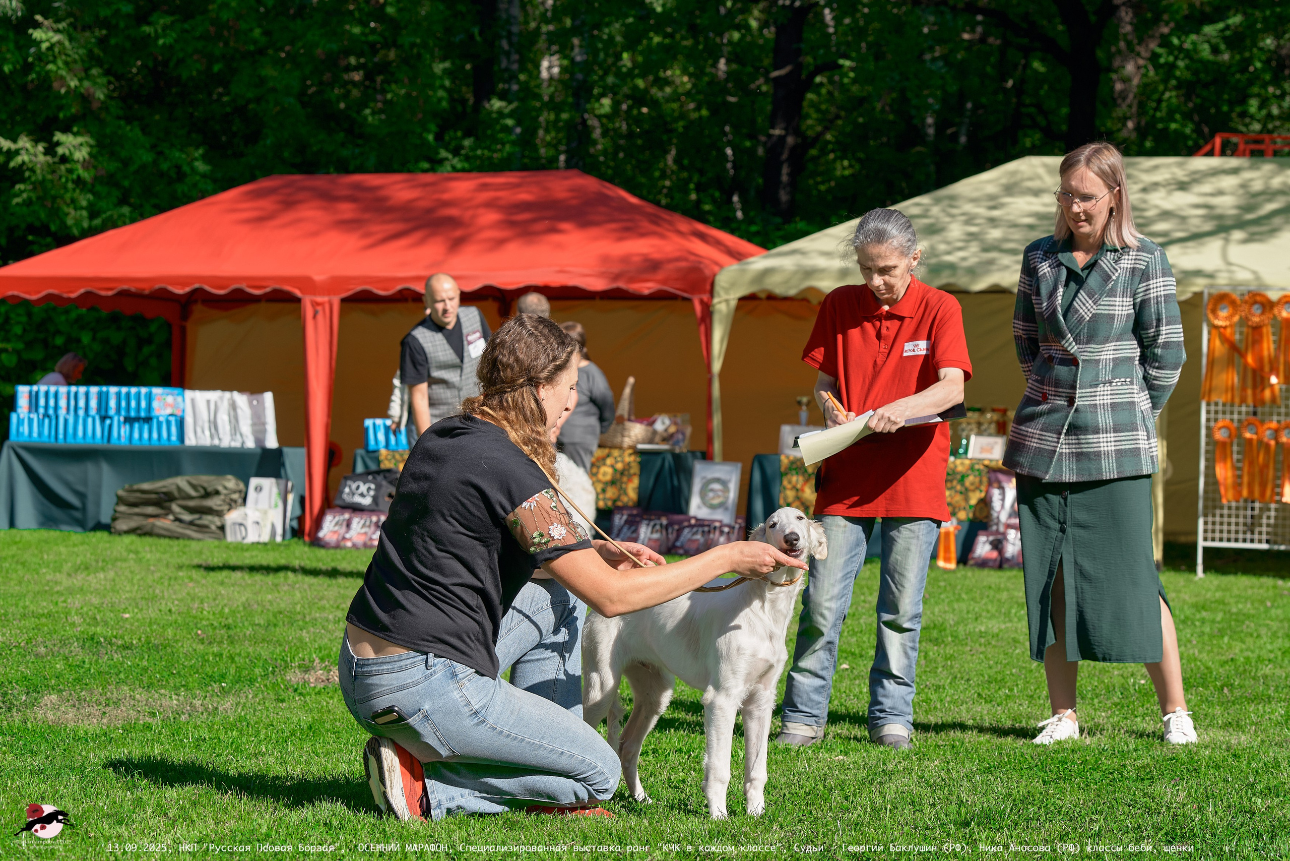 ОСЕННИЙ МАРАФОН | Специализированная выставка породы Русская Псовая Борзая ранг "КЧК в каждом классе"
