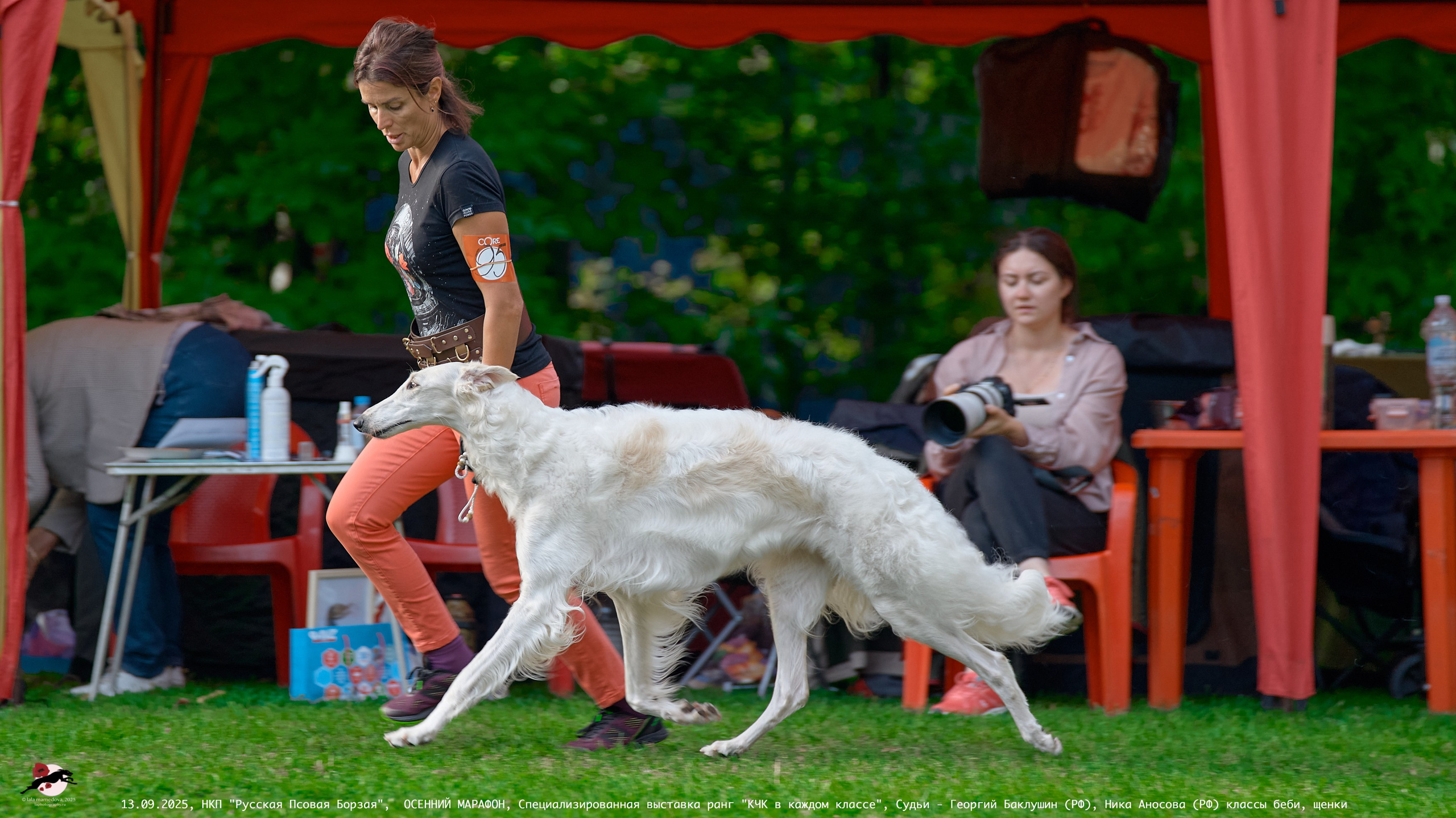 ОСЕННИЙ МАРАФОН | Специализированная выставка породы Русская Псовая Борзая ранг "КЧК в каждом классе"