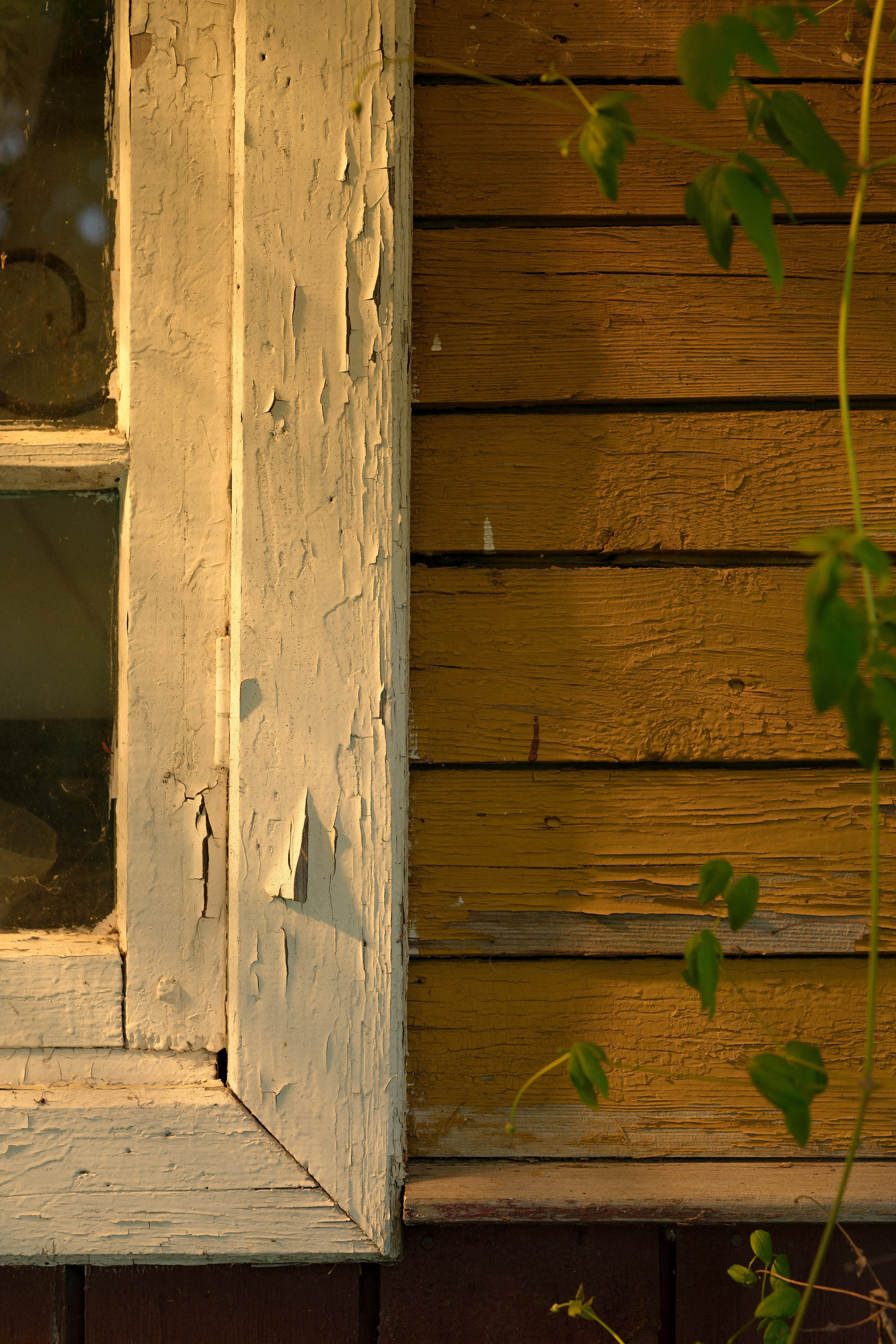Глазами невесты. Свадебный фотограф Елизавета Беляева