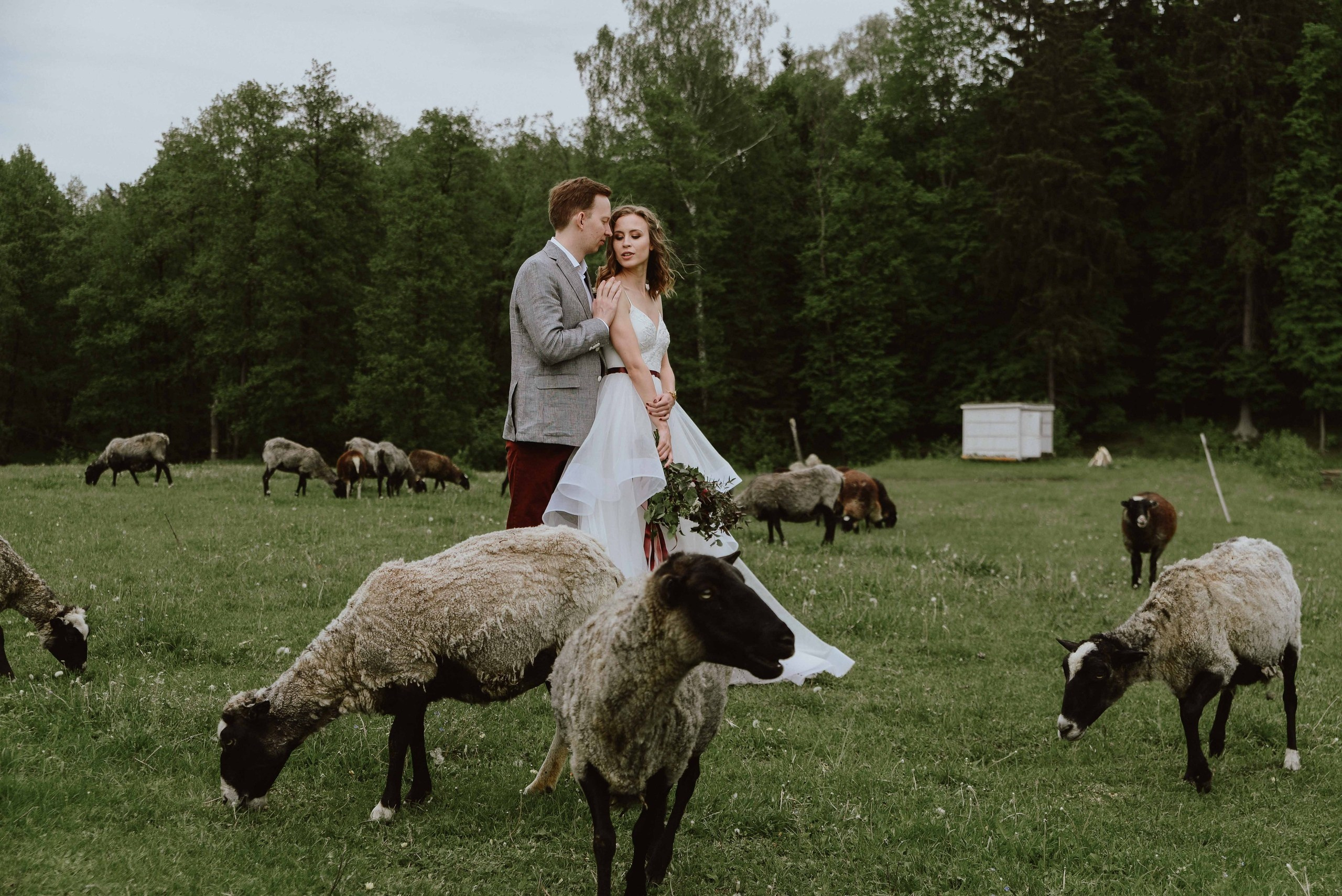 Wedding photographer in Abu Dhabi