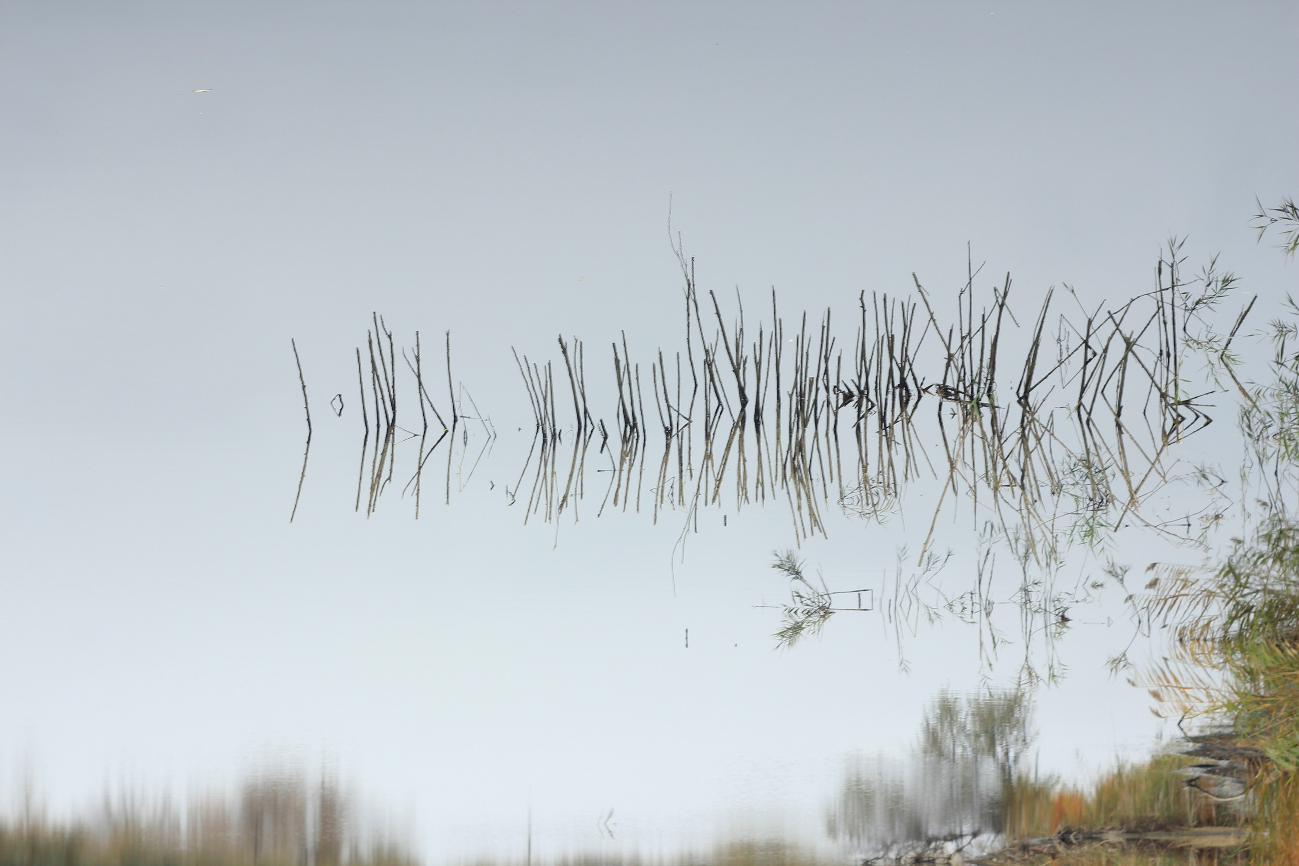 Разбойщина, Саратов, студенческая архитектурная мастерская Евгения Спирина и САСК. Фотокрыжовник. Снимаем, дружим, путешествуем