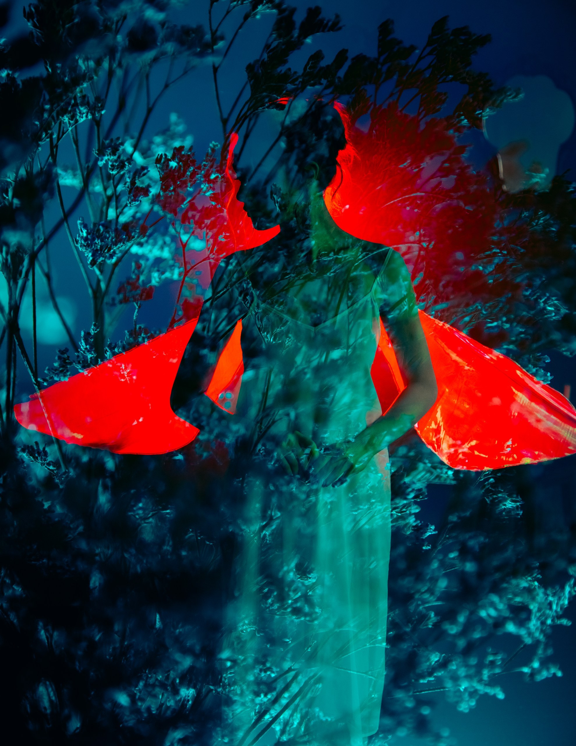 Сказочная фотосессия в Новосибирске — Роман Лахмыткин