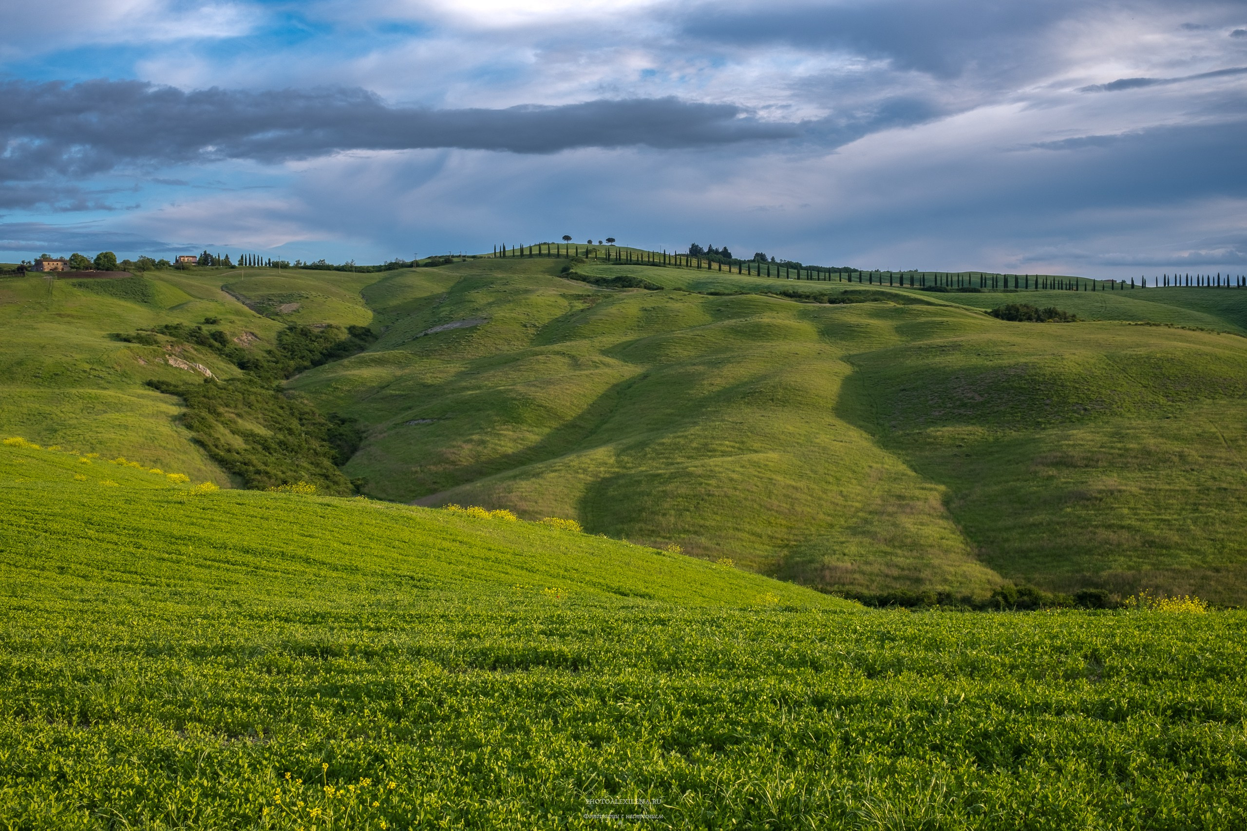 Долина Крете Сенези (Crete Senesi). Авторские стильные фотокартины