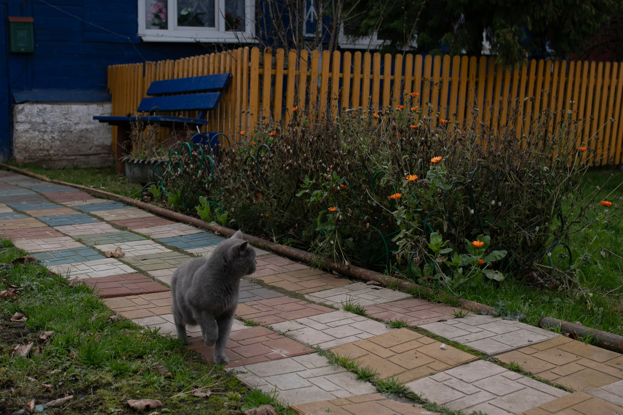 Муром — Гороховец'25. Фотограф-портретист в Москве