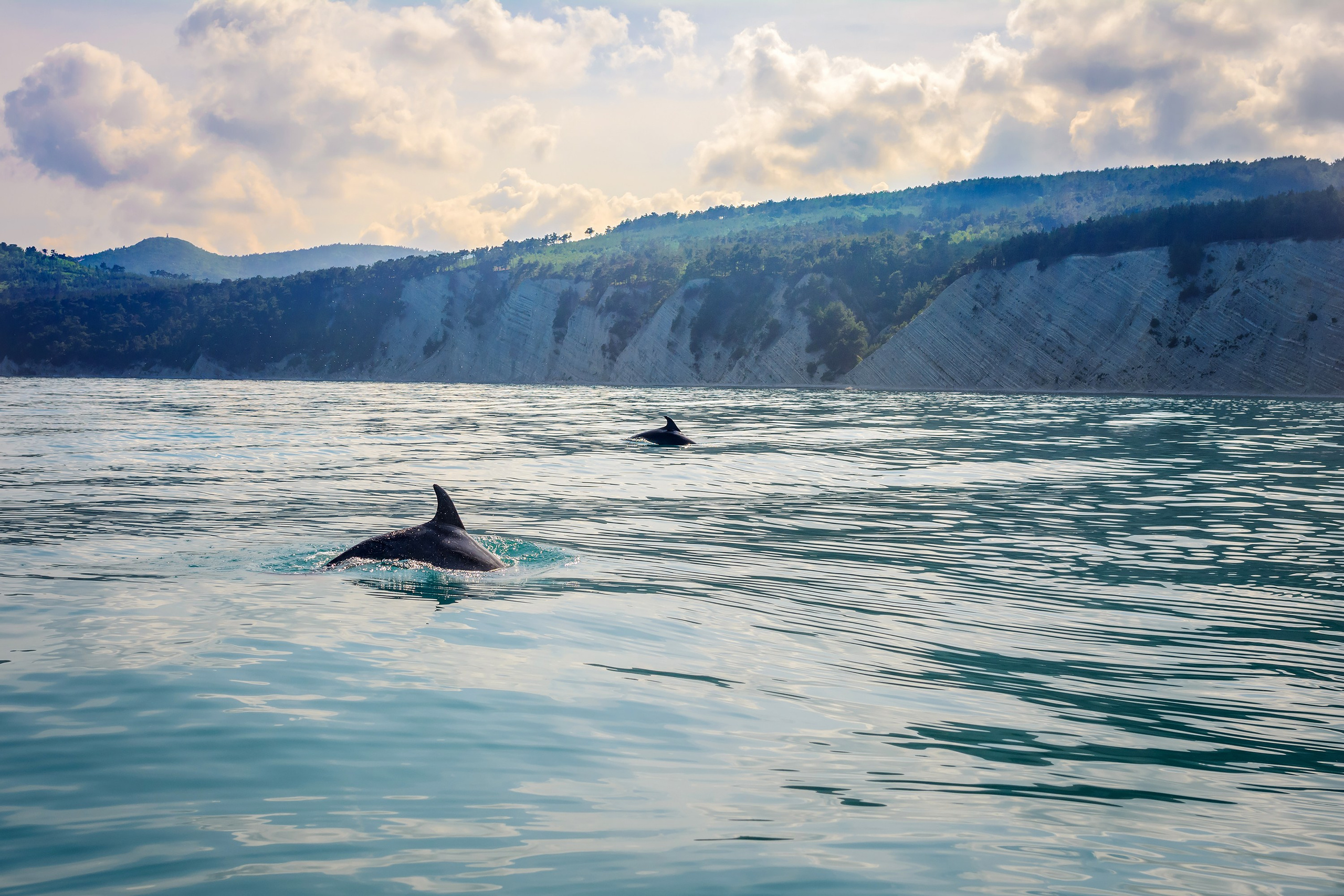 Краснодарский край, локация, фотосессия, САП, САП-прогулки, фото на САП-е, море, берег, дикий пляж