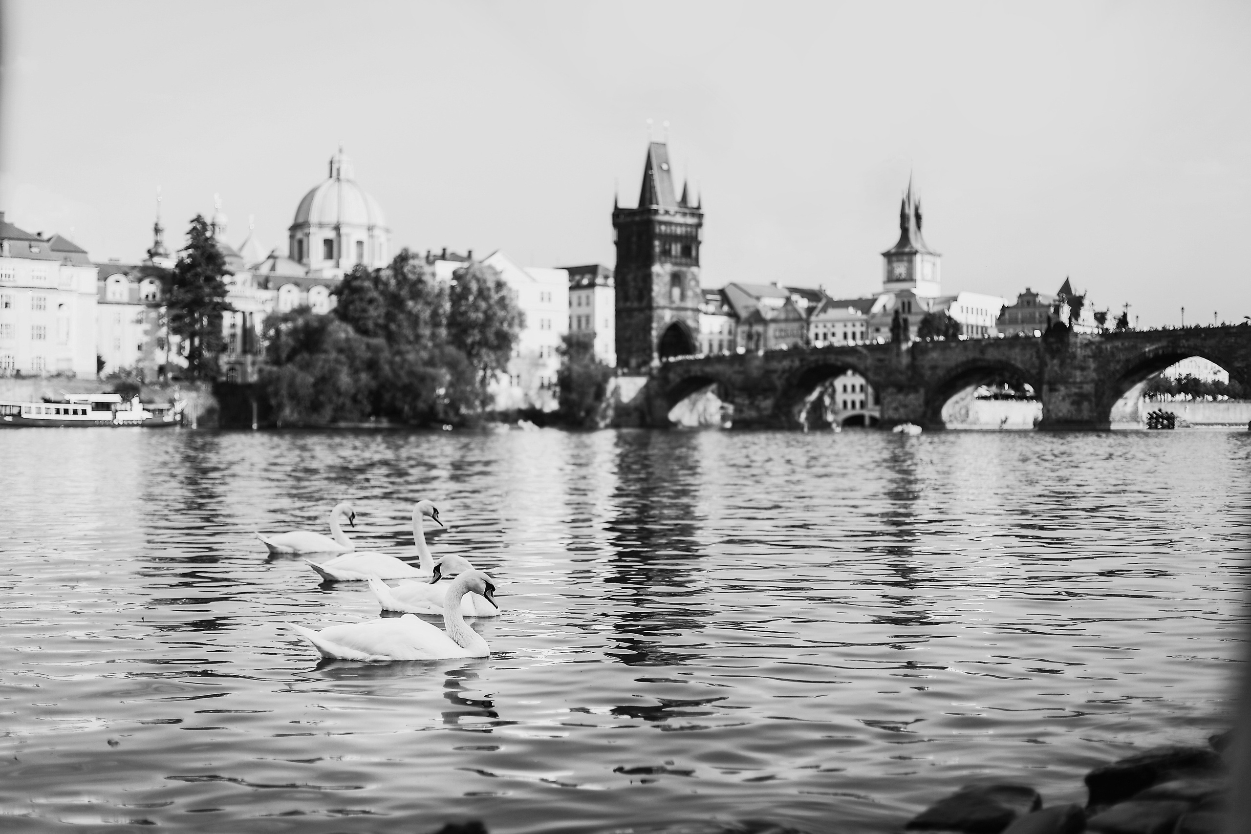 Услуги. Фотограф РБ