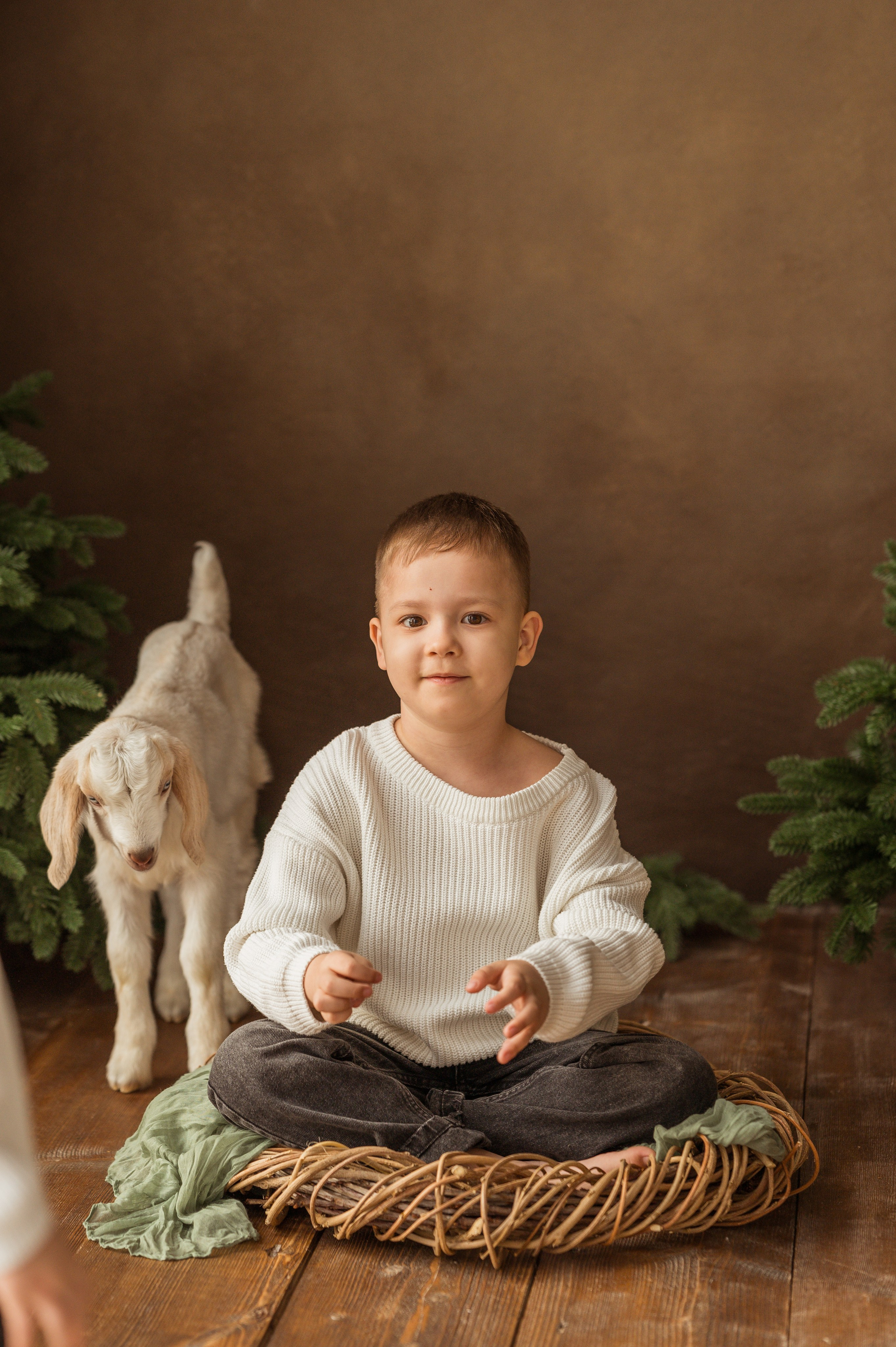 Данечка, Артем и козлик. Детский и семейный фотограф Ирина Гладких