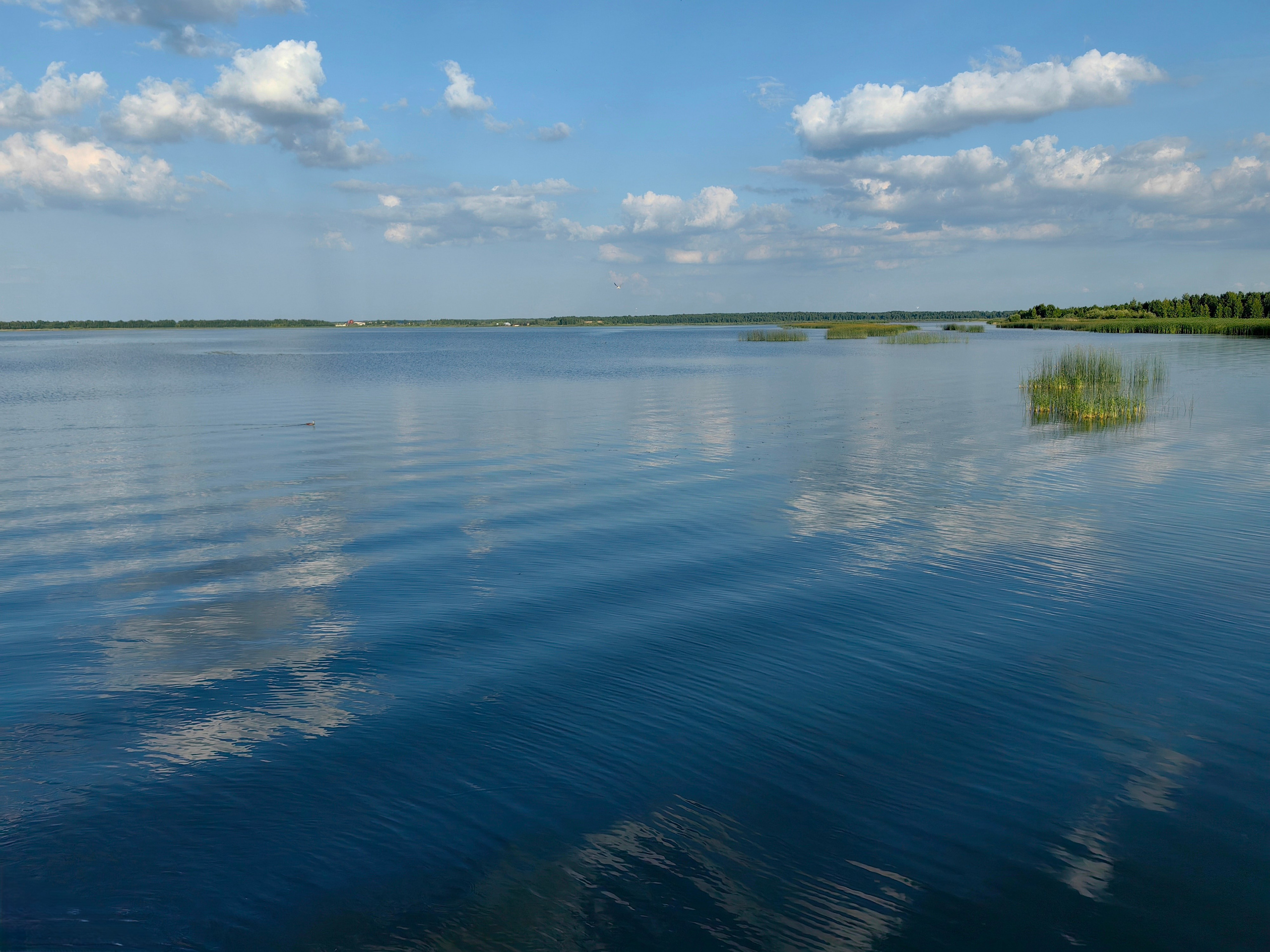 Выпускной 2025