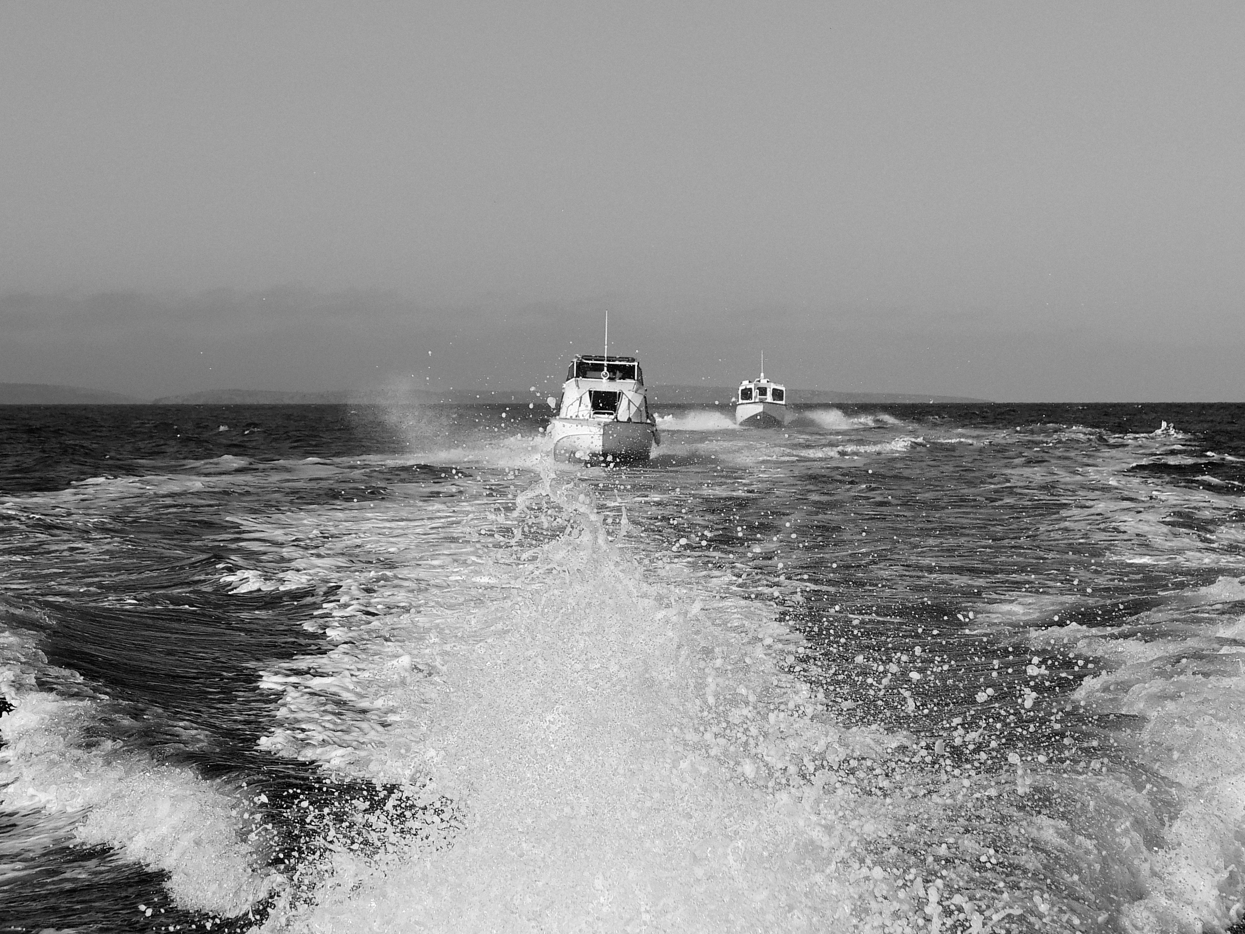 Принты. Марина Горбатова. Фотограф