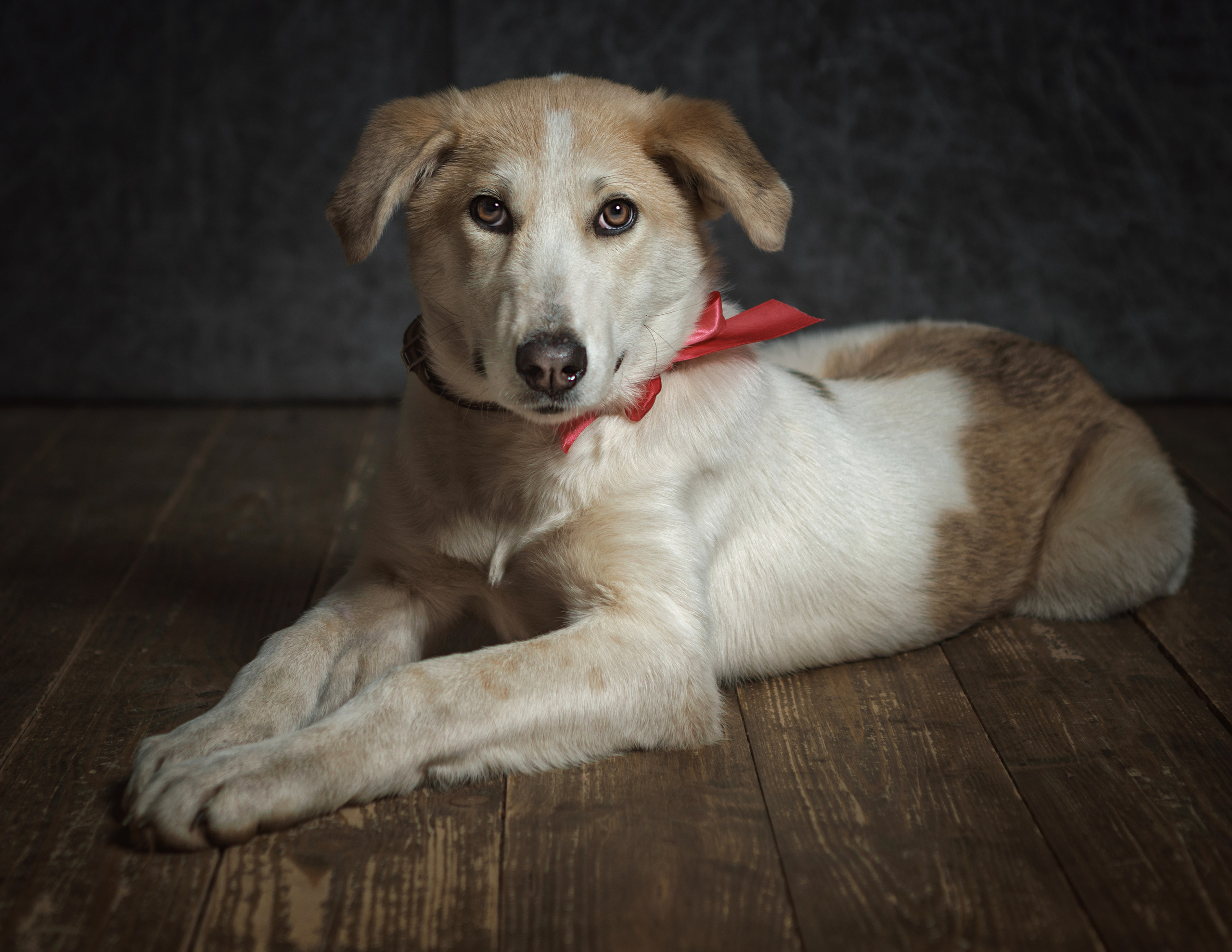 ДРУГ, НАЙДИСЬ. Антон Тимошевский, профессиональный портретный фотограф в Москве и Орле