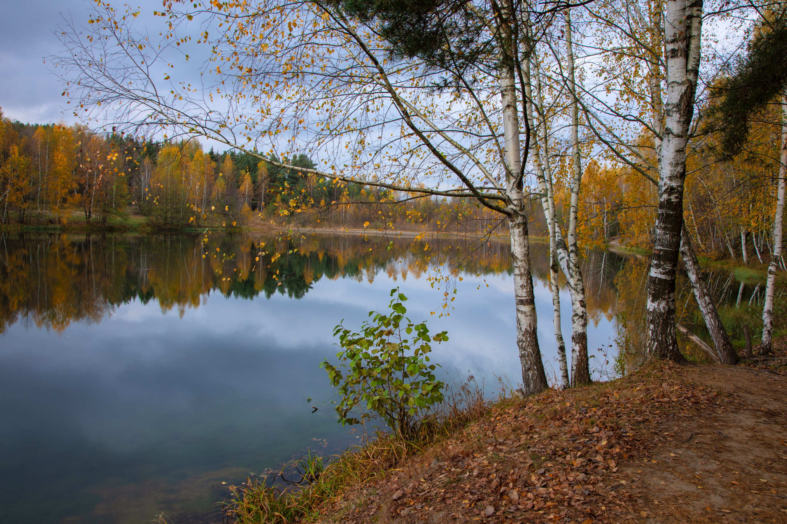 Тишина. Свадьбы, портретная, предметная съемка. Фотограф Александр К