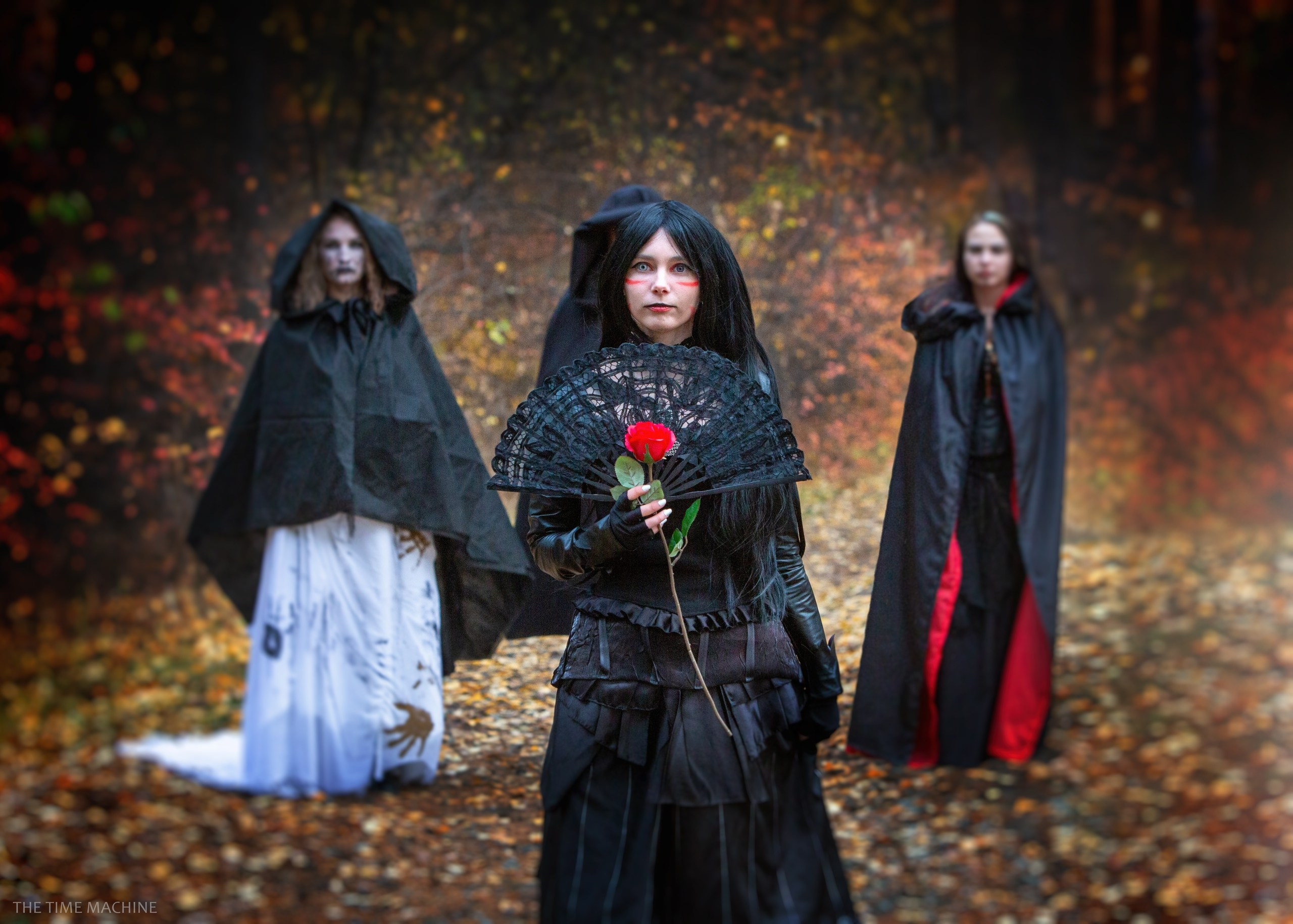 Открытки. Фотограф для маркетплейсов Михаил Бове