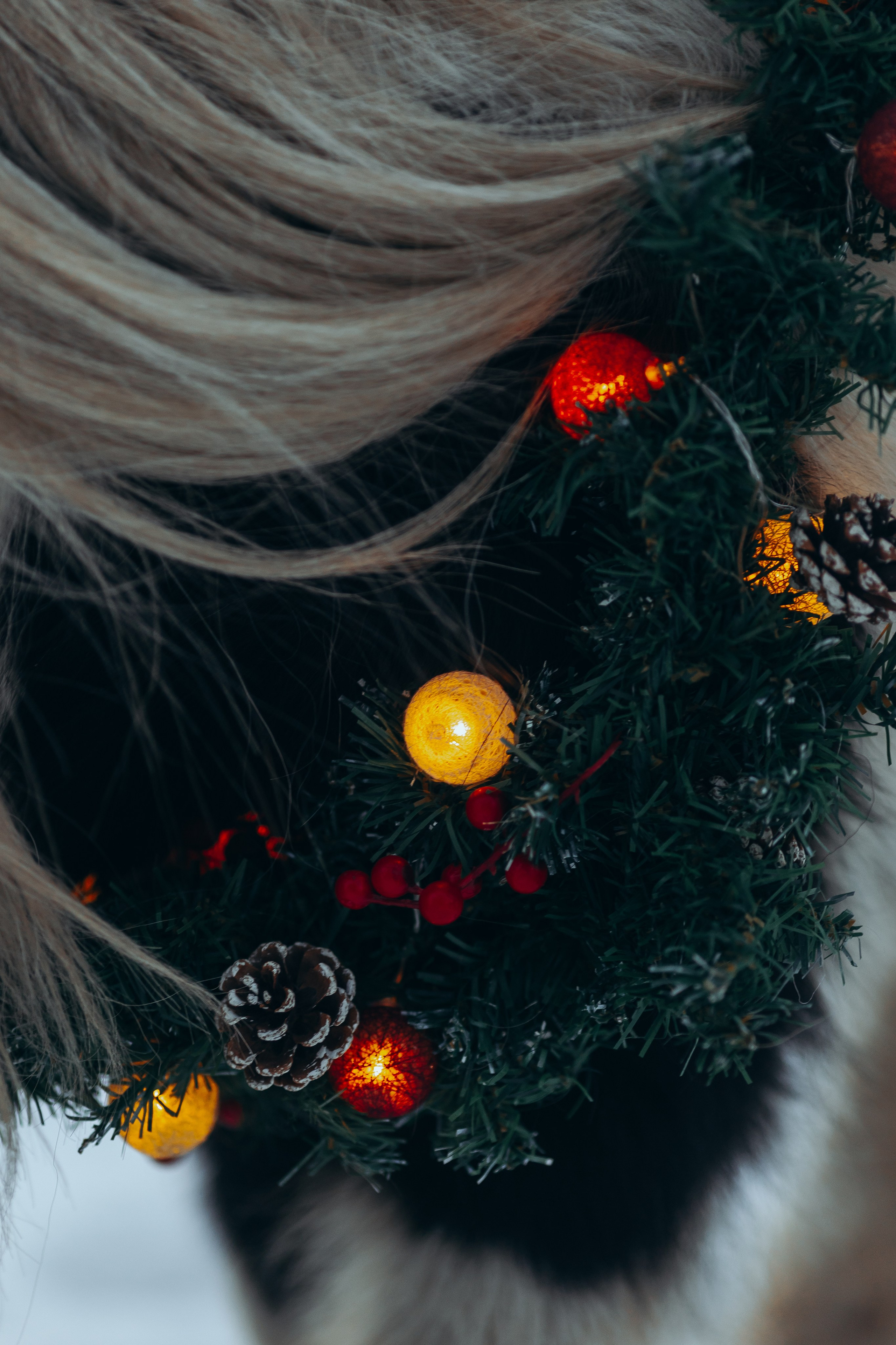 Тариф новогодний 2024. Анна Молчанова конный фотограф в Тюмени | фотосессии с лошадьми Тюмень