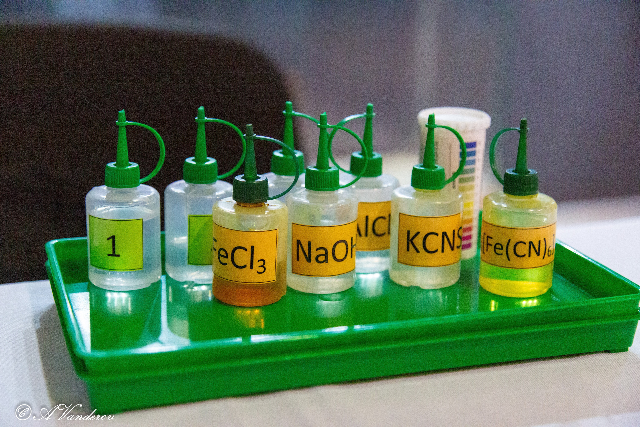 Семейный образовательный форум «Навигатор поступления». Фотограф Омск | Александр Вандеров