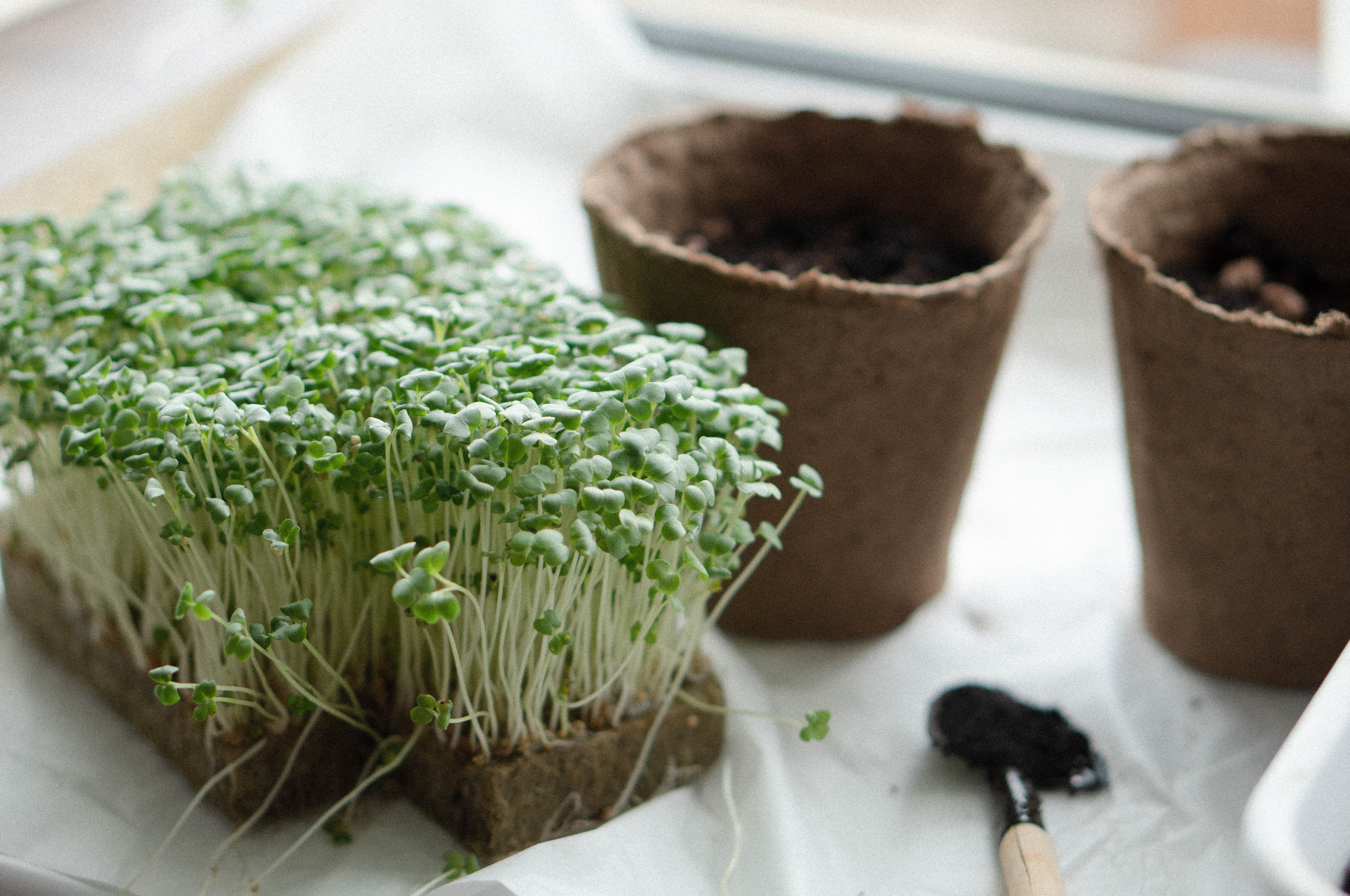 Предметная съемка. Видеограф Зинченко Татьяна г. Пермь