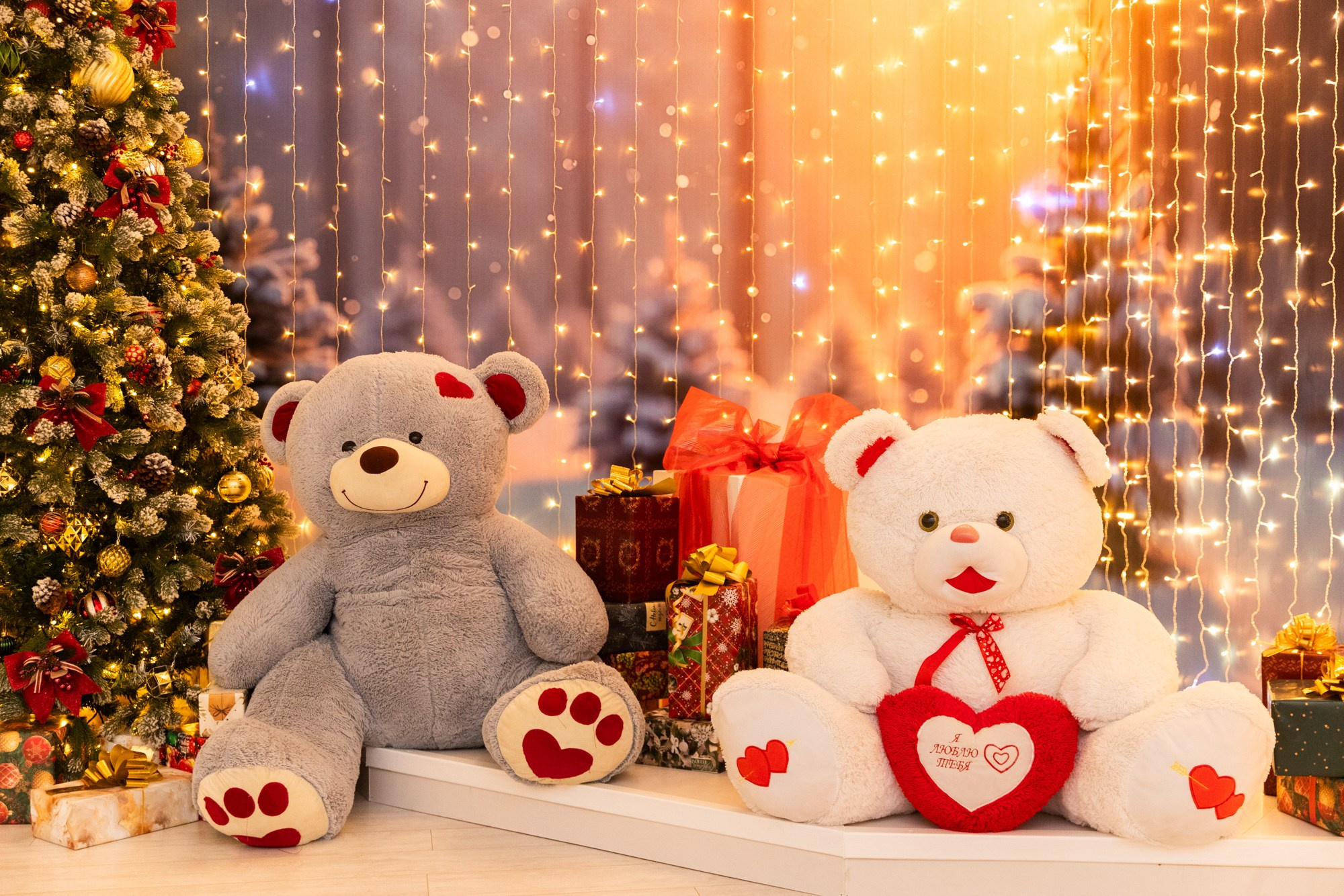 Фотостудия НГ. Профессиональный фотограф Анастасия Кохно