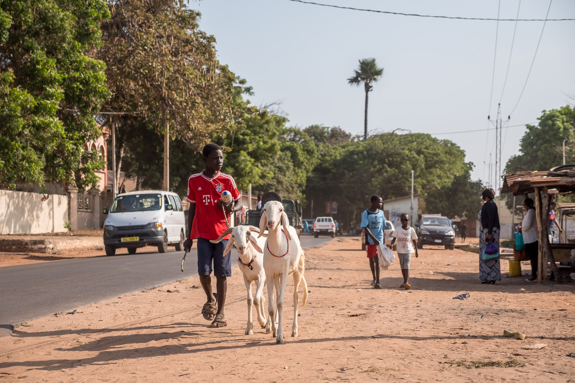 Путешествие по Гамбии (Западная Африка).Traveling in Gambia (West Africa.). Фотограф Алексей Скоробогатько